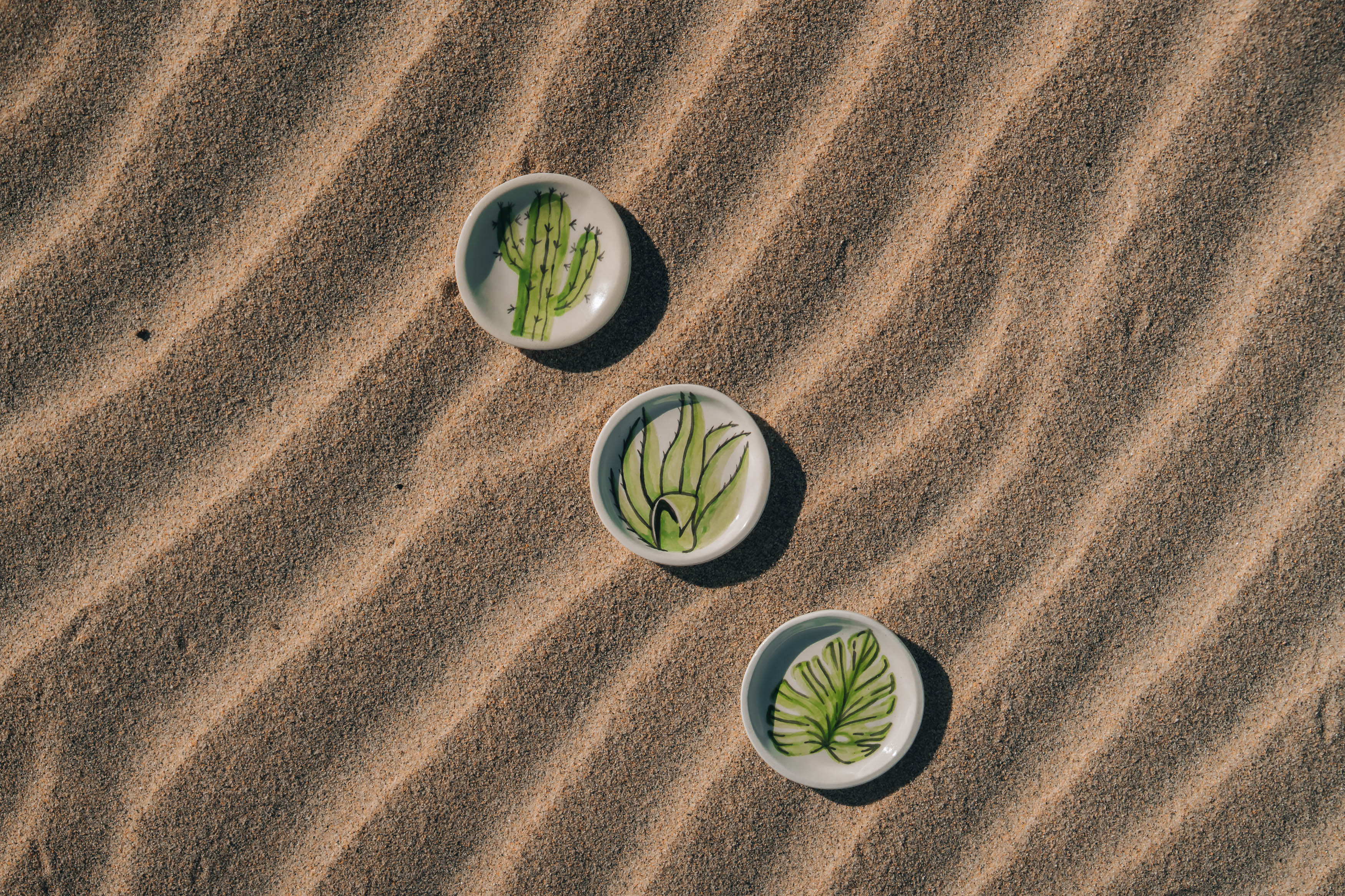 Cactus Accent Plate – Anne Sidora