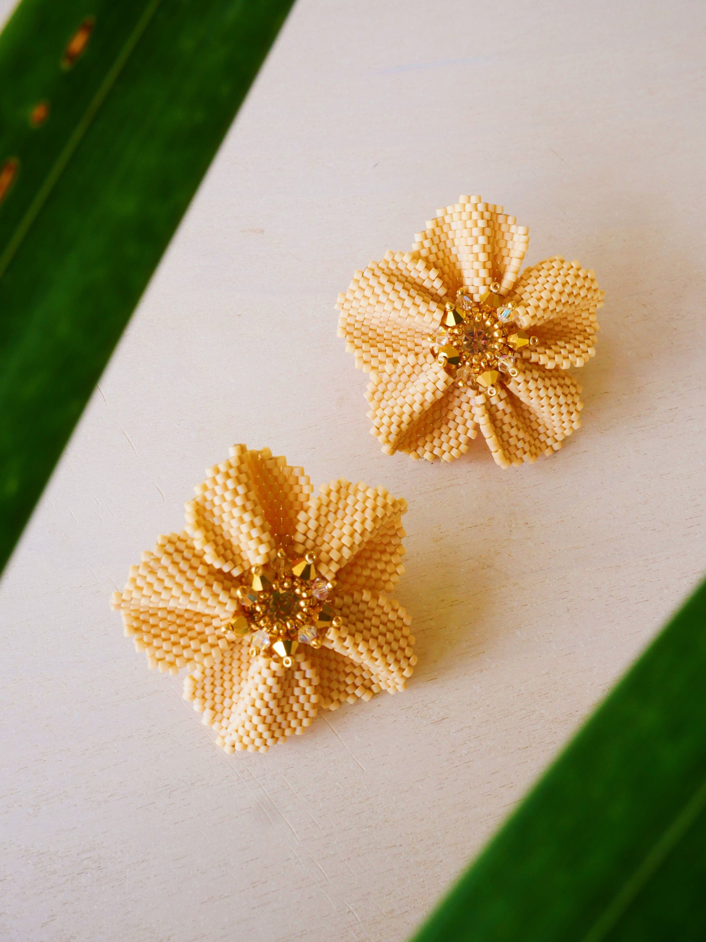 Damiana Diamond Blossom