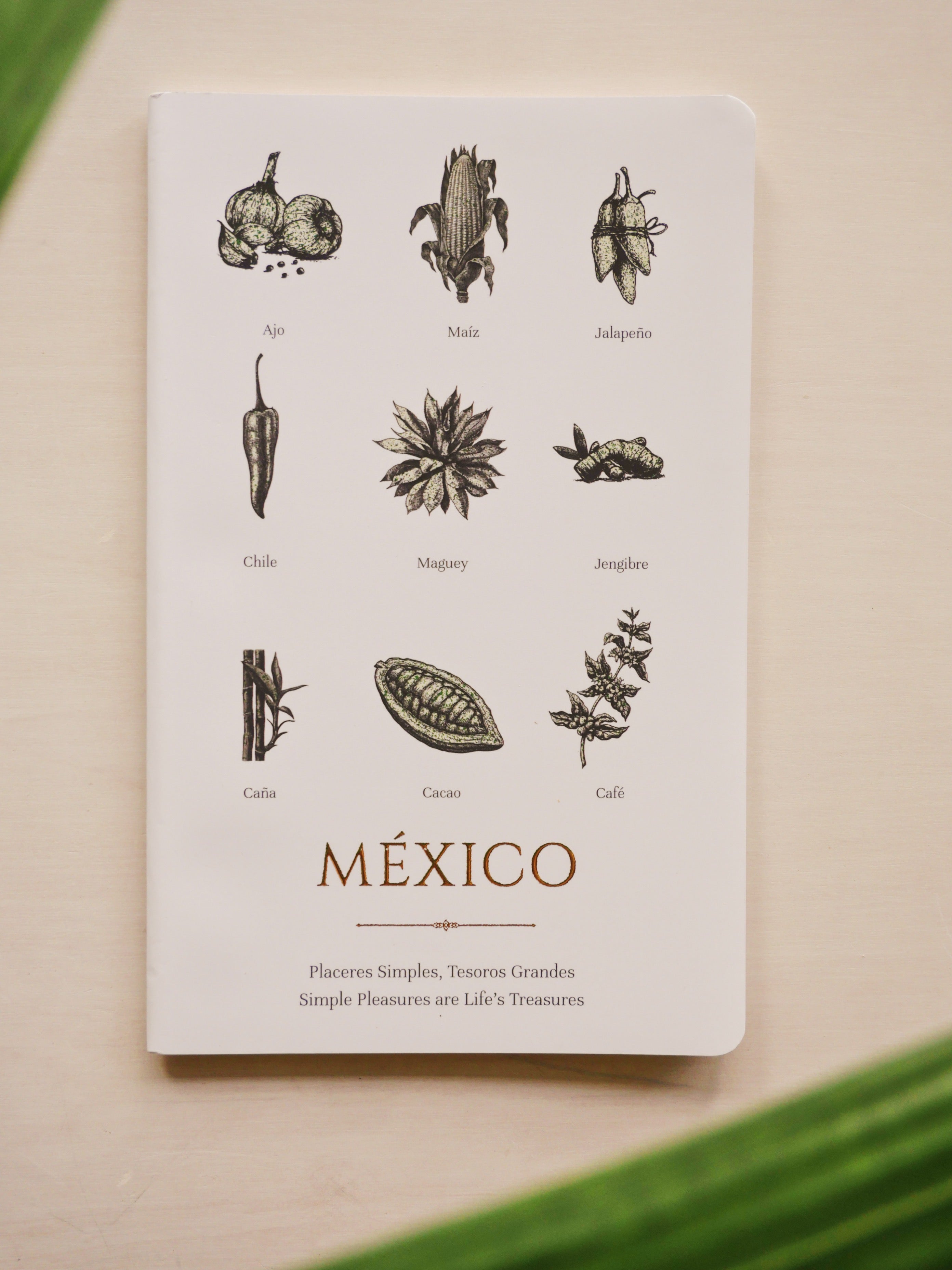 Notebook with illustrations of Mexican ingredients on a beige background