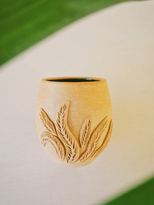 Baja Flora shots