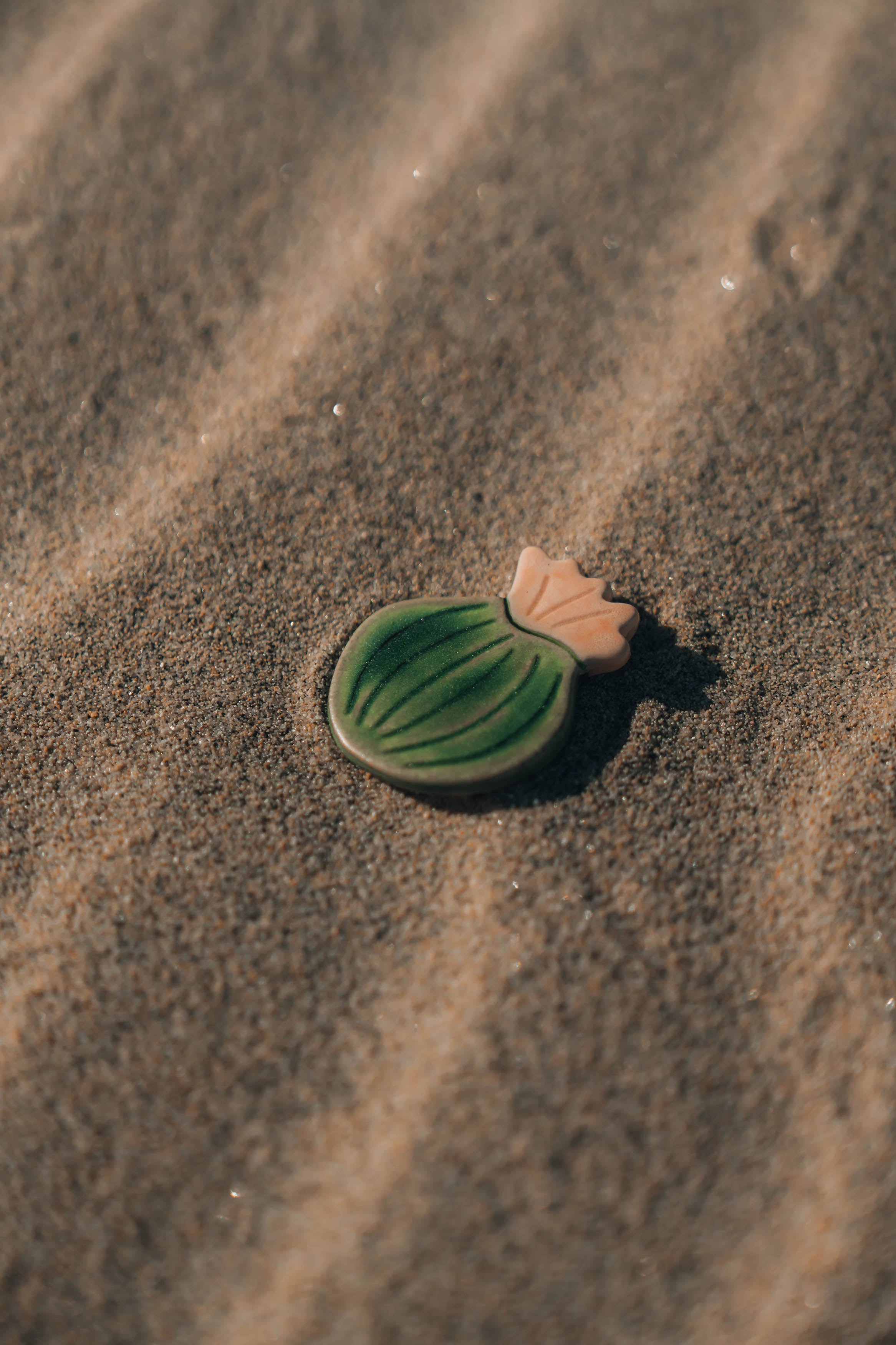 Blooming Cactus Magnets