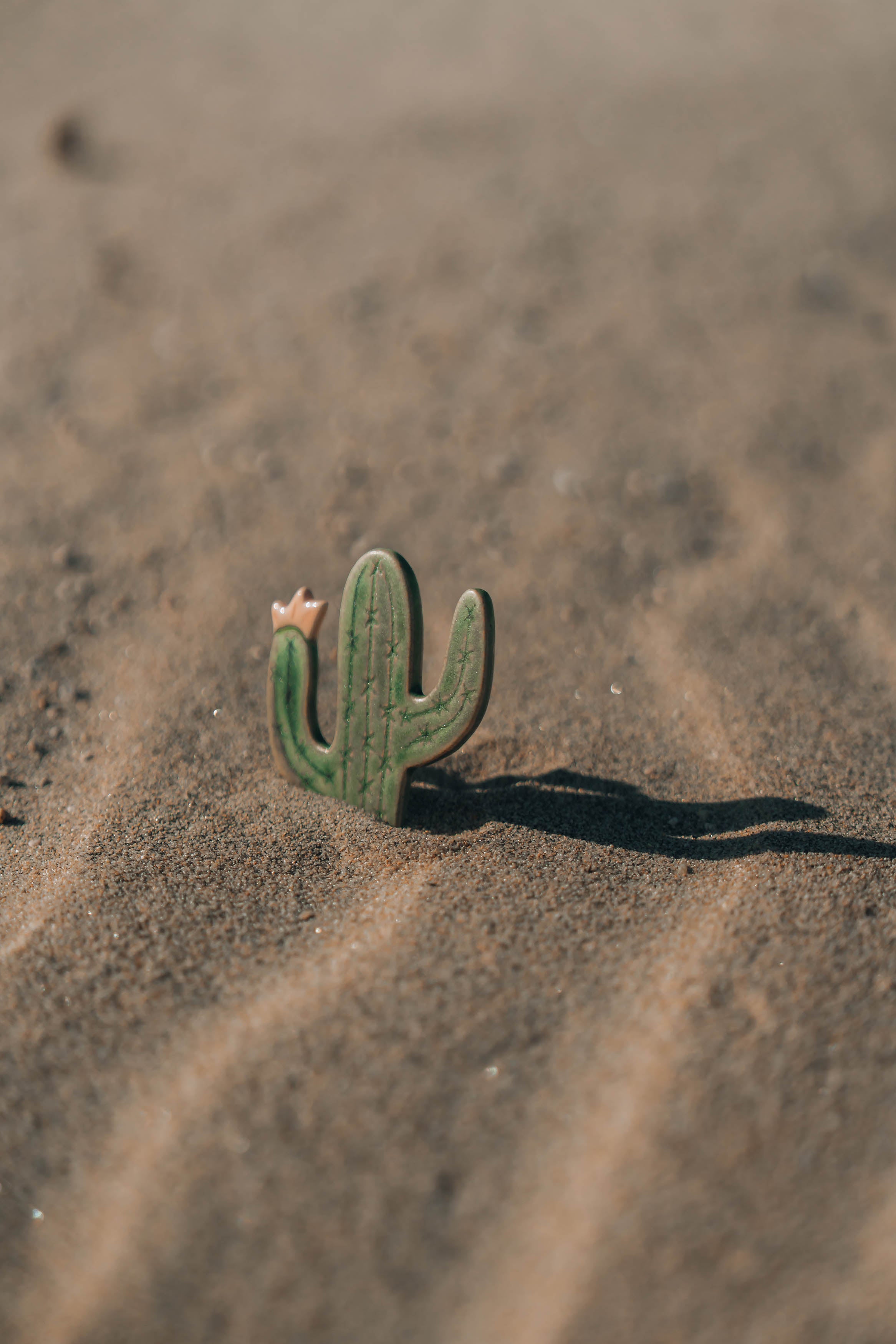 Blooming Cactus Magnets