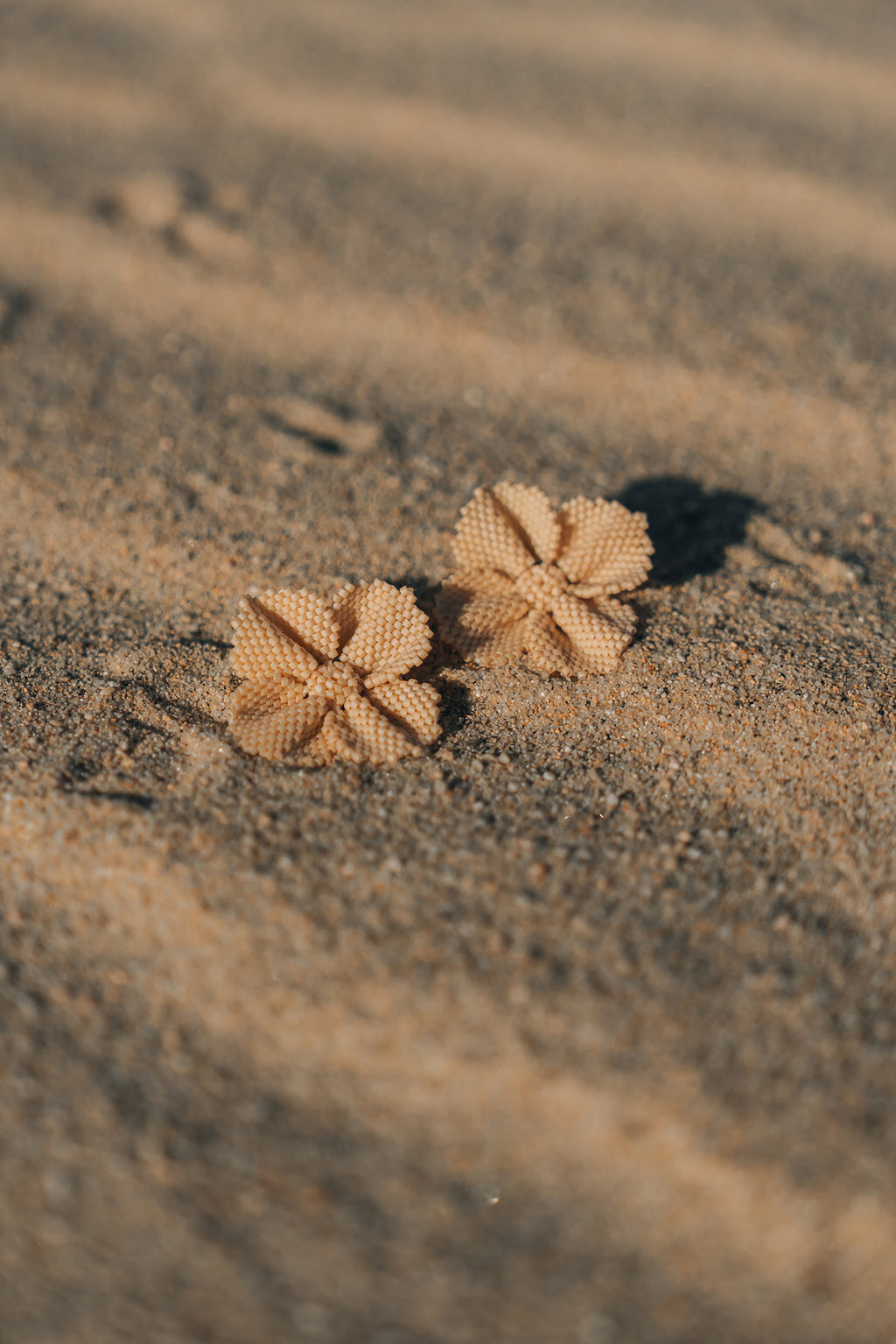 Two flower-shaped earrings on a sandy surface