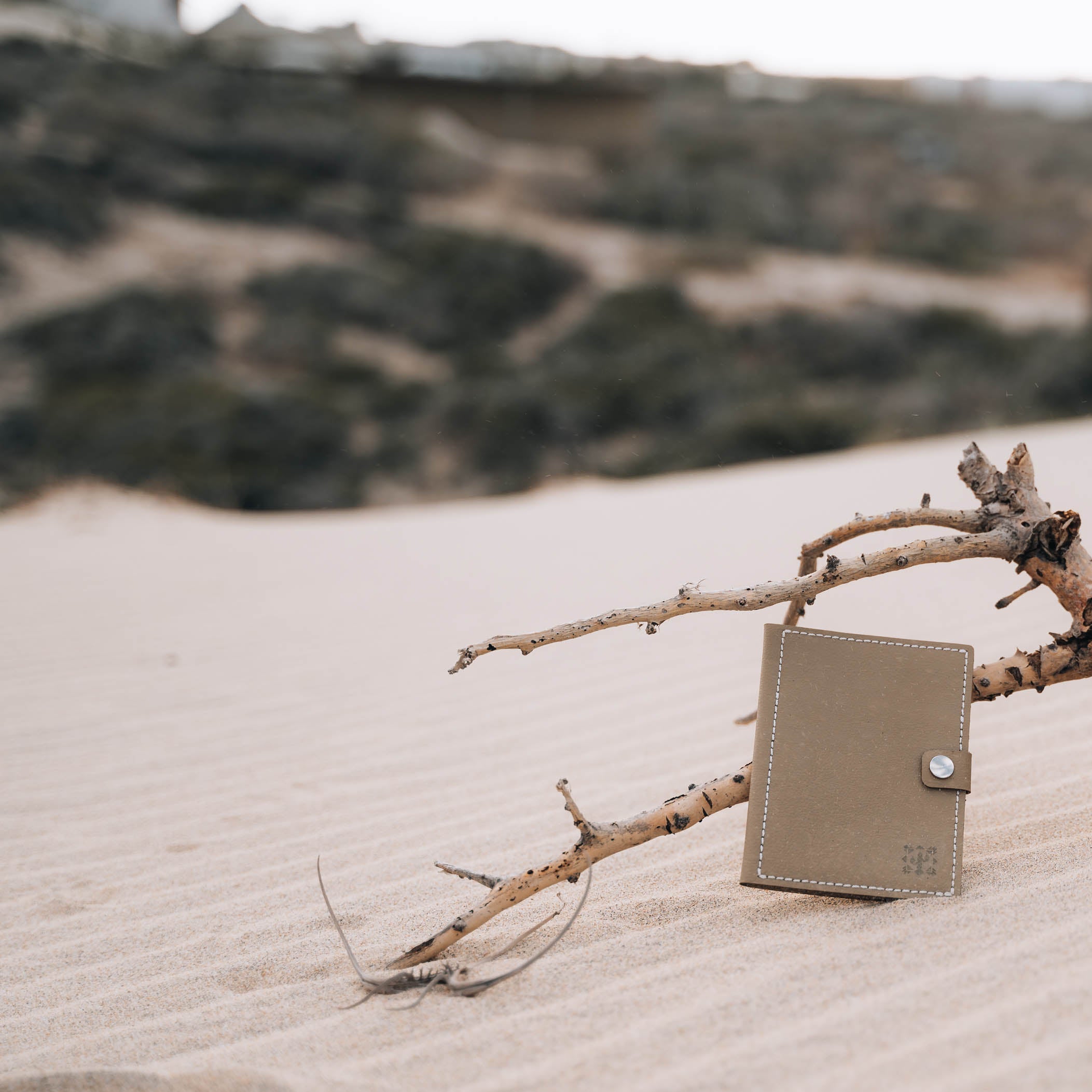 Cactus Leather Passport Holder