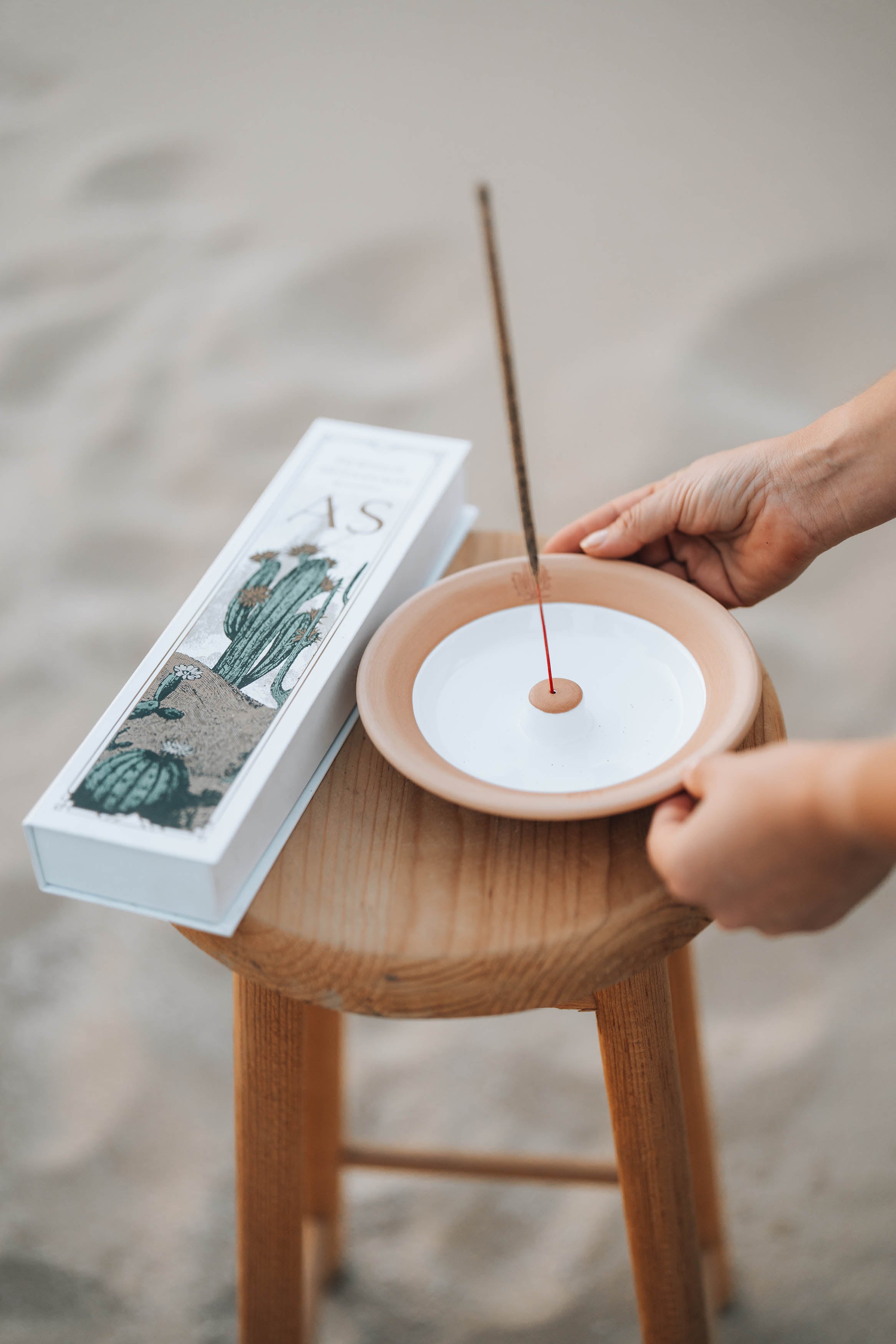 Cactus Incense Holder