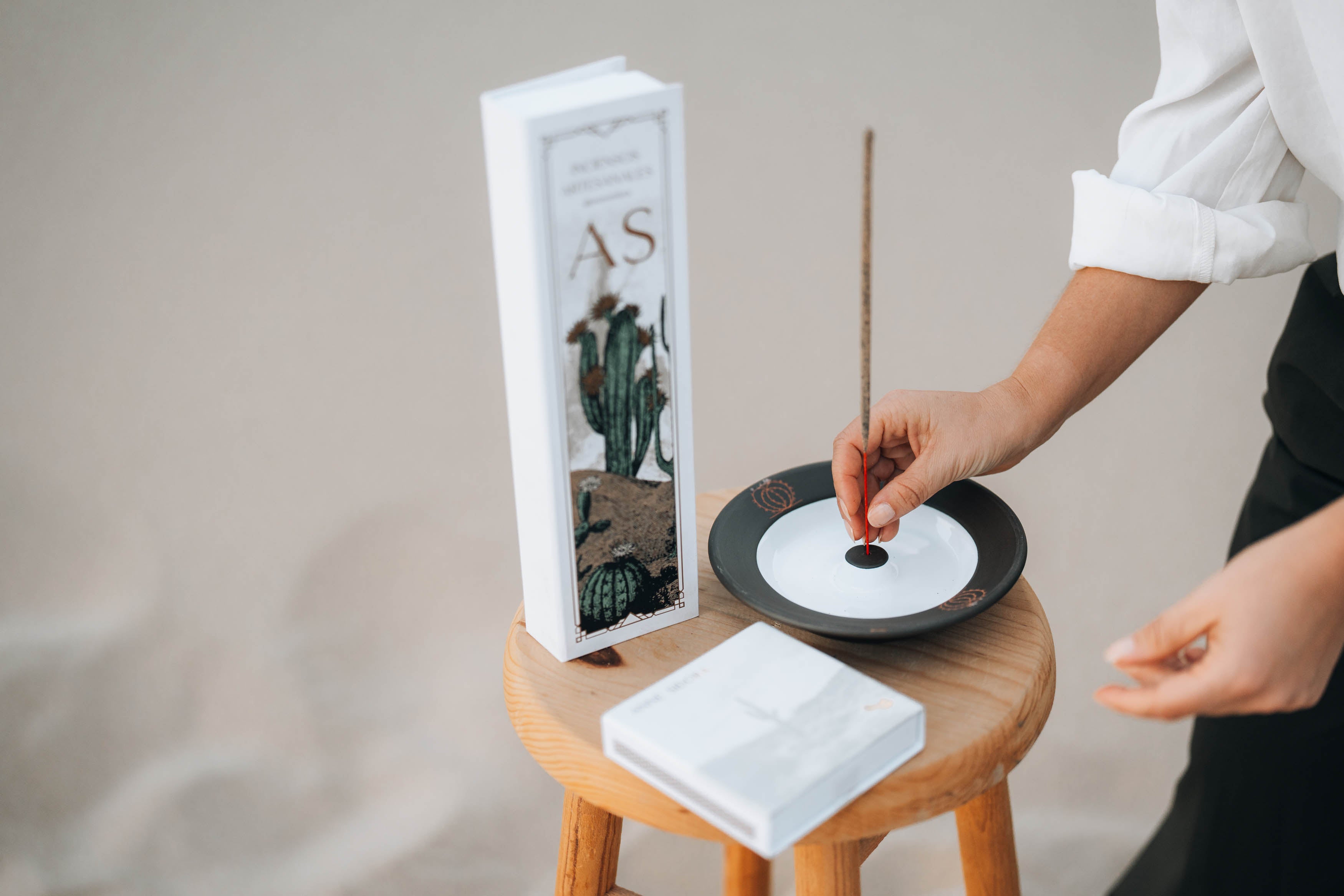 Cactus Incense Holder