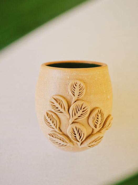 Baja Flora shots