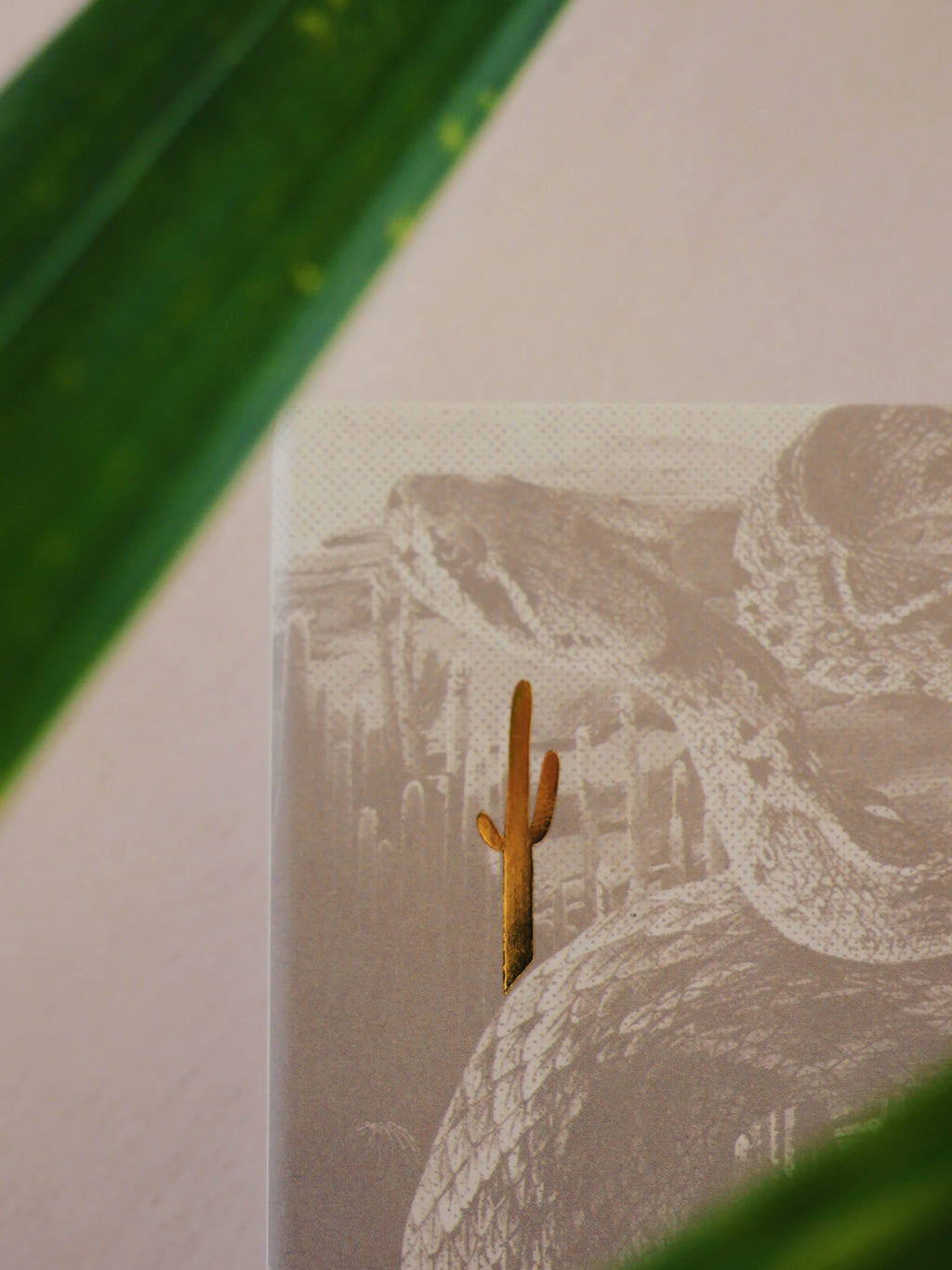 Desert Mirage - Matchbox Duo