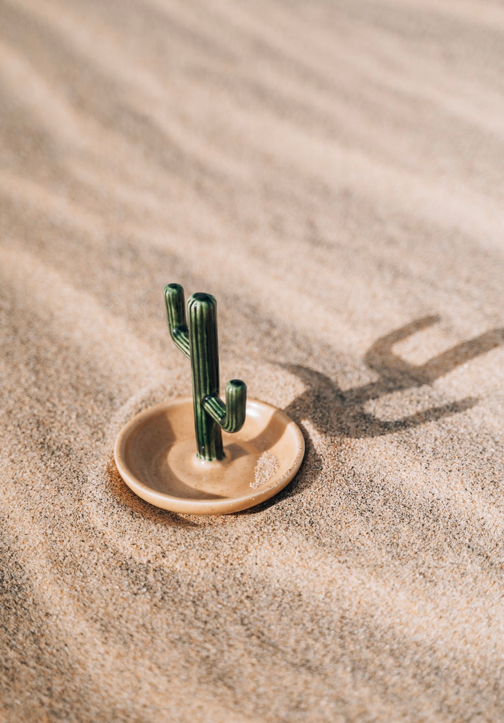 Cactus Jewelry Holder