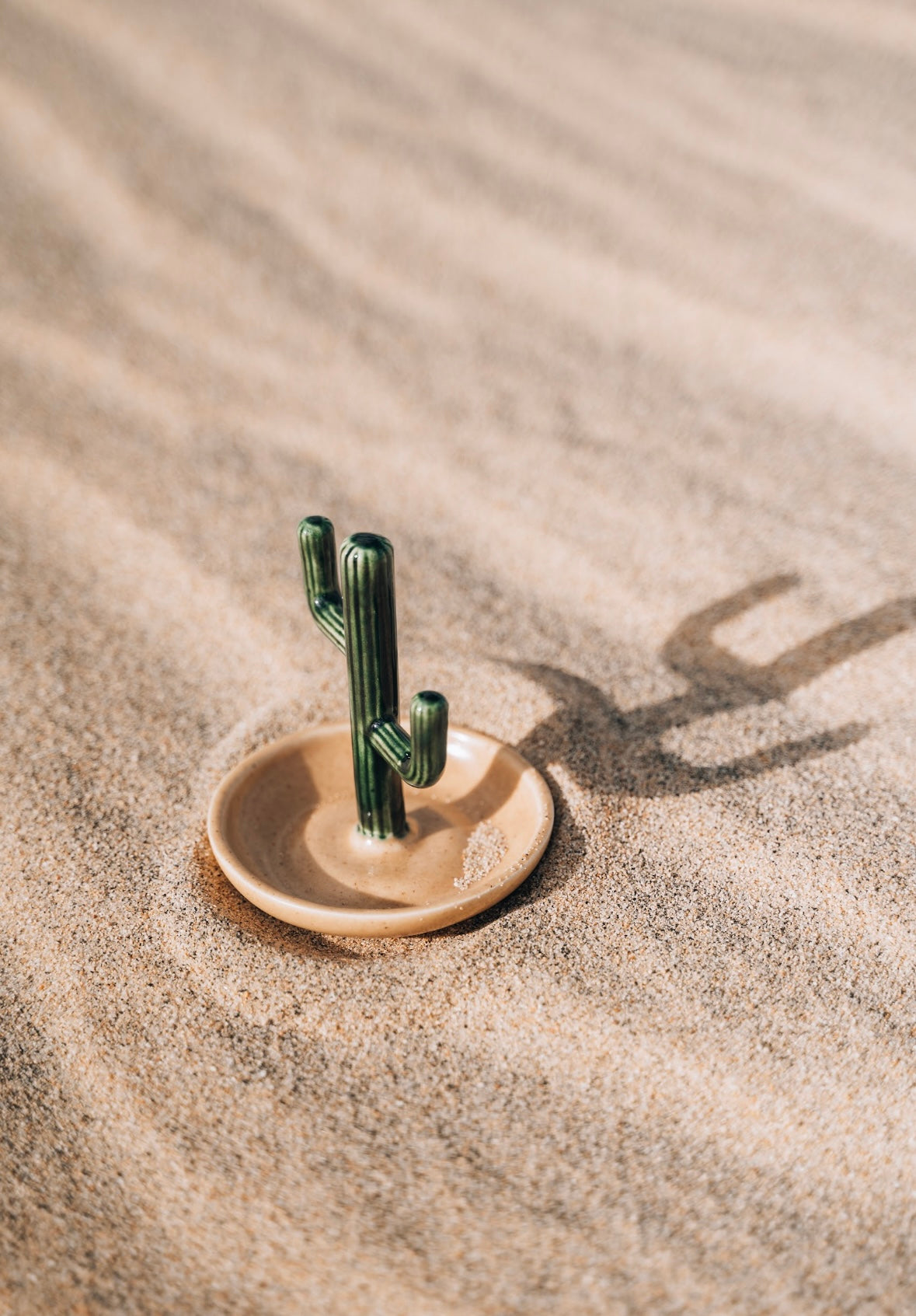 Cactus Jewelry Holder