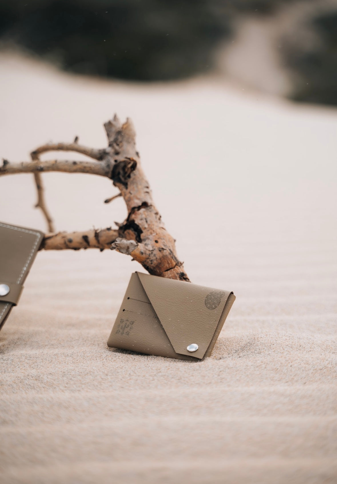 Cactus Leather Cardholder