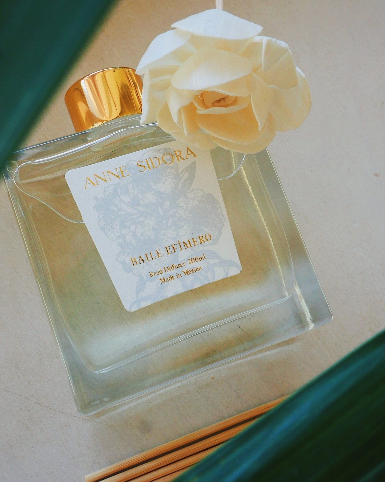 Baile Efímero - Reed Diffusor - Anne Sidora Unique Poetic gift boutique in Los Cabos