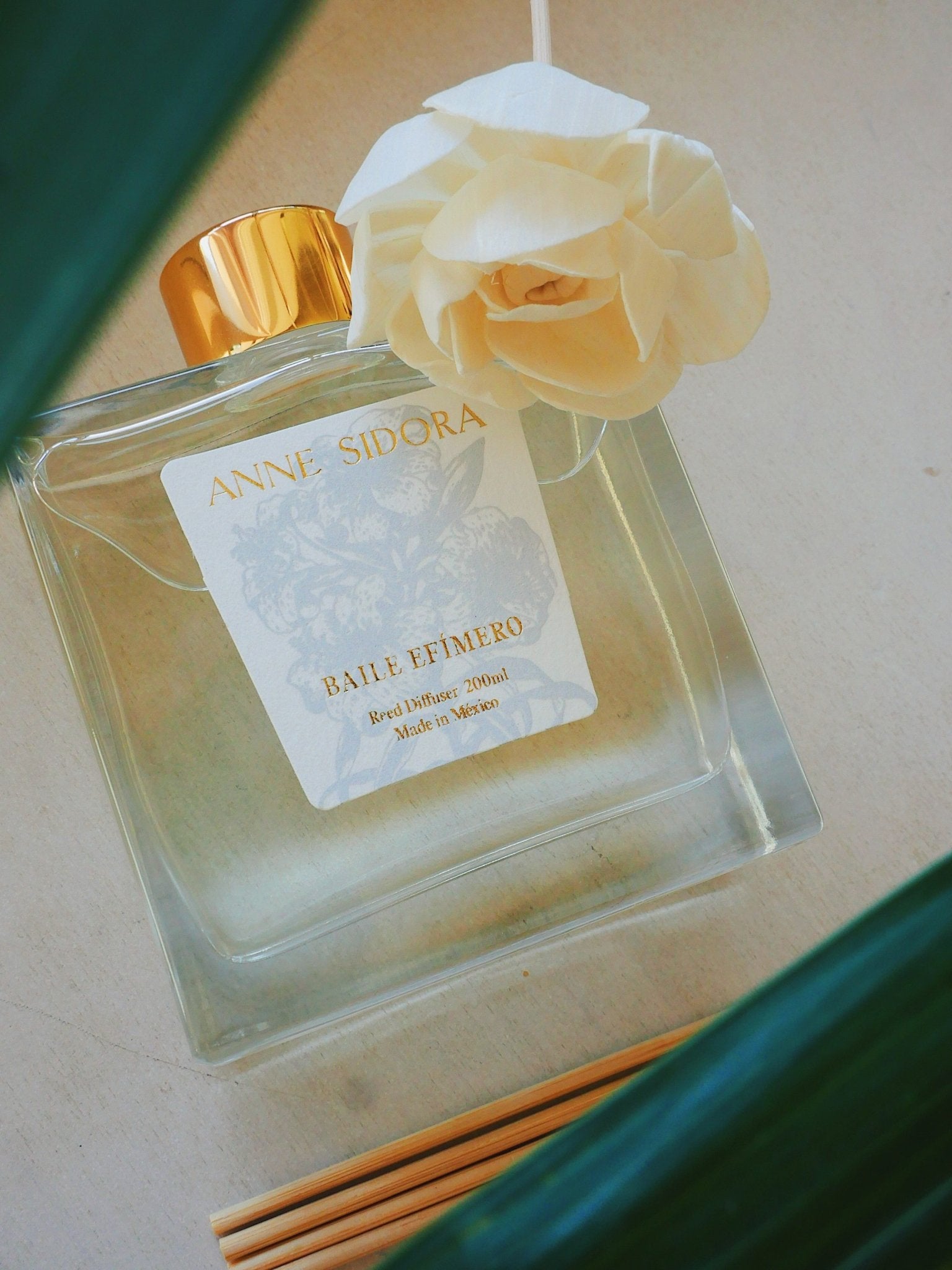 Baile Efímero - Reed Diffusor - Anne Sidora Unique Poetic gift boutique in Los Cabos