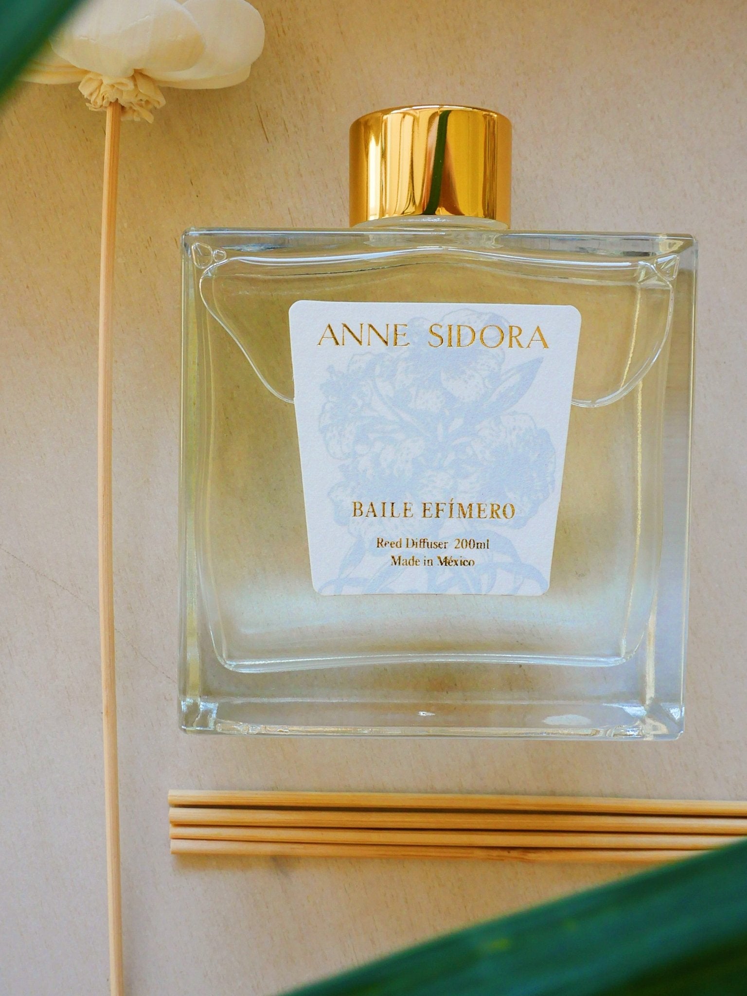 Baile Efímero - Reed Diffusor - Anne Sidora Unique Poetic gift boutique in Los Cabos