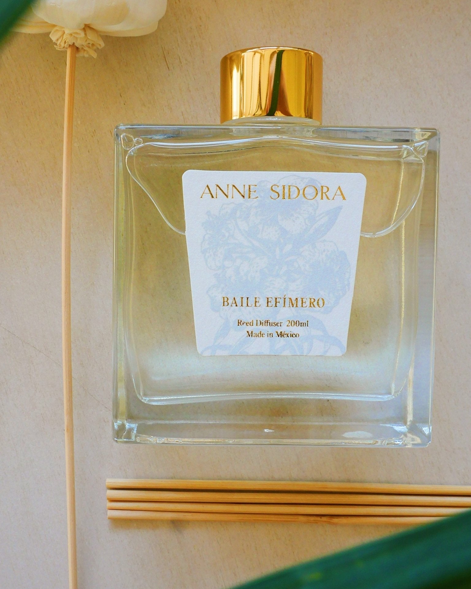 Baile Efímero - Reed Diffusor - Anne Sidora Unique Poetic gift boutique in Los Cabos