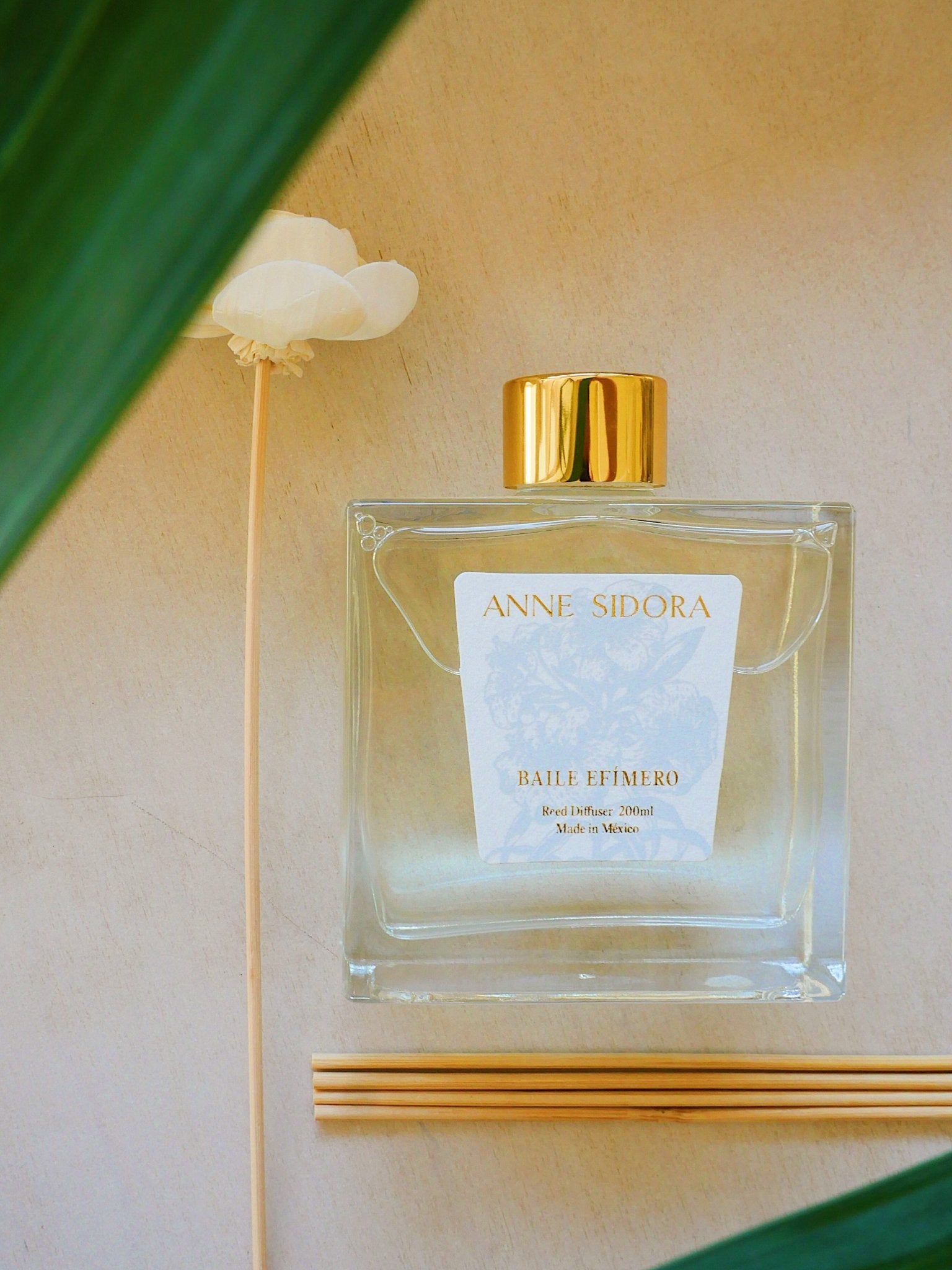 Baile Efímero - Reed Diffusor - Anne Sidora Unique Poetic gift boutique in Los Cabos