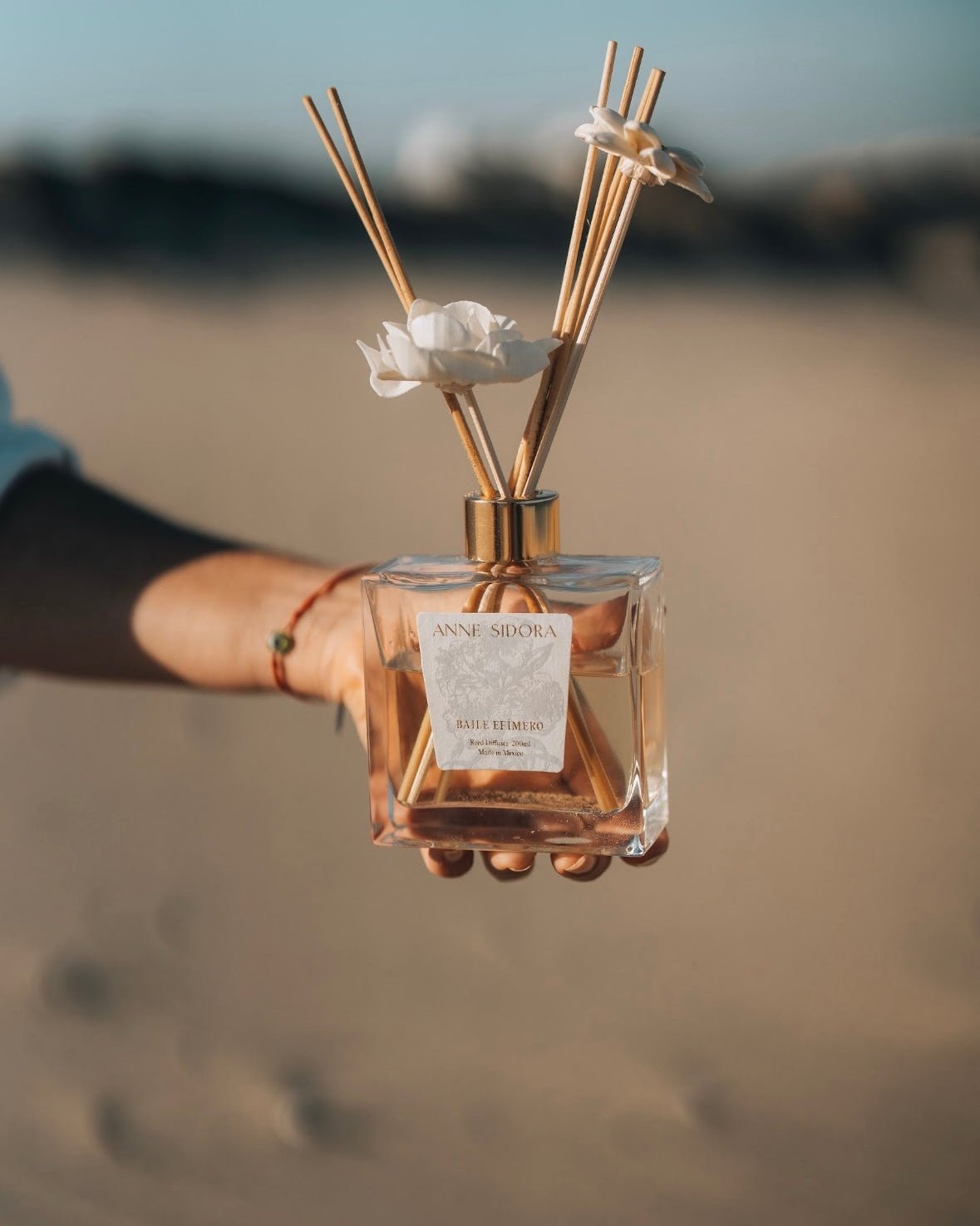 Baile Efímero - Reed Diffusor - Anne Sidora Unique Poetic gift boutique in Los Cabos