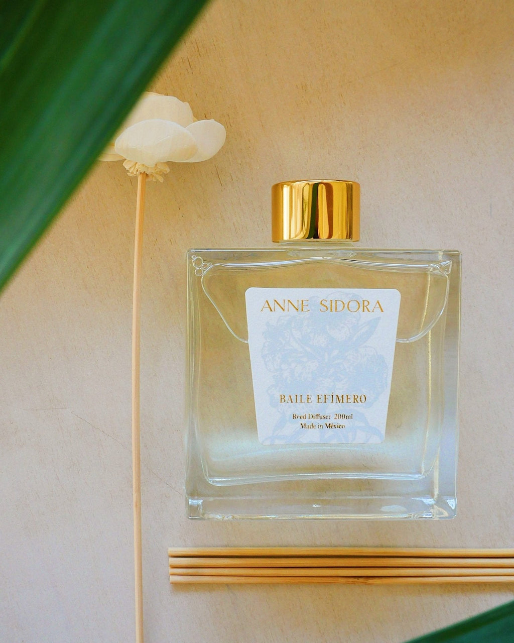 Baile Efímero - Reed Diffusor - Anne Sidora Unique Poetic gift boutique in Los Cabos