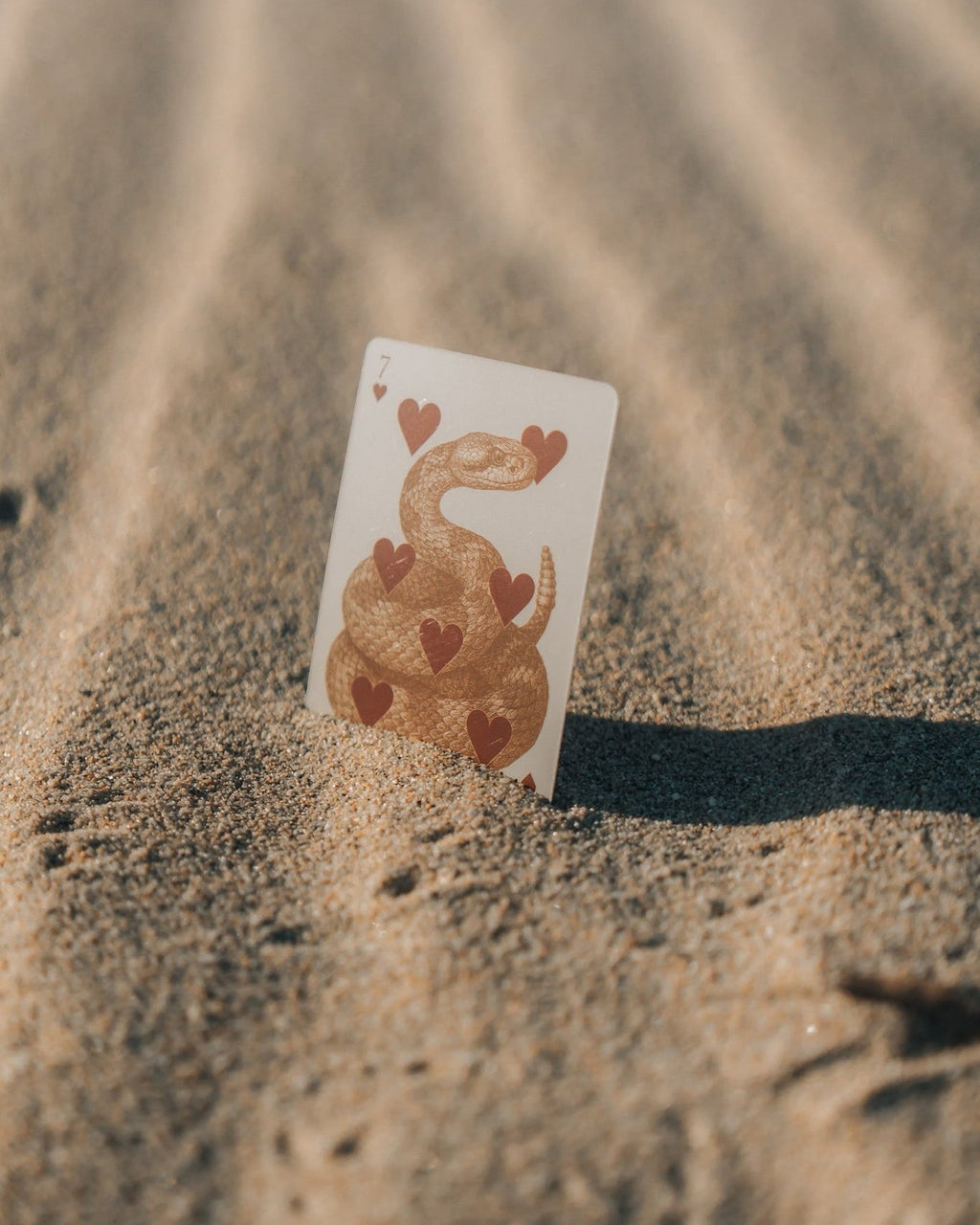 Baja Deck of Cards - Anne Sidora Unique Poetic gift boutique in Los Cabos