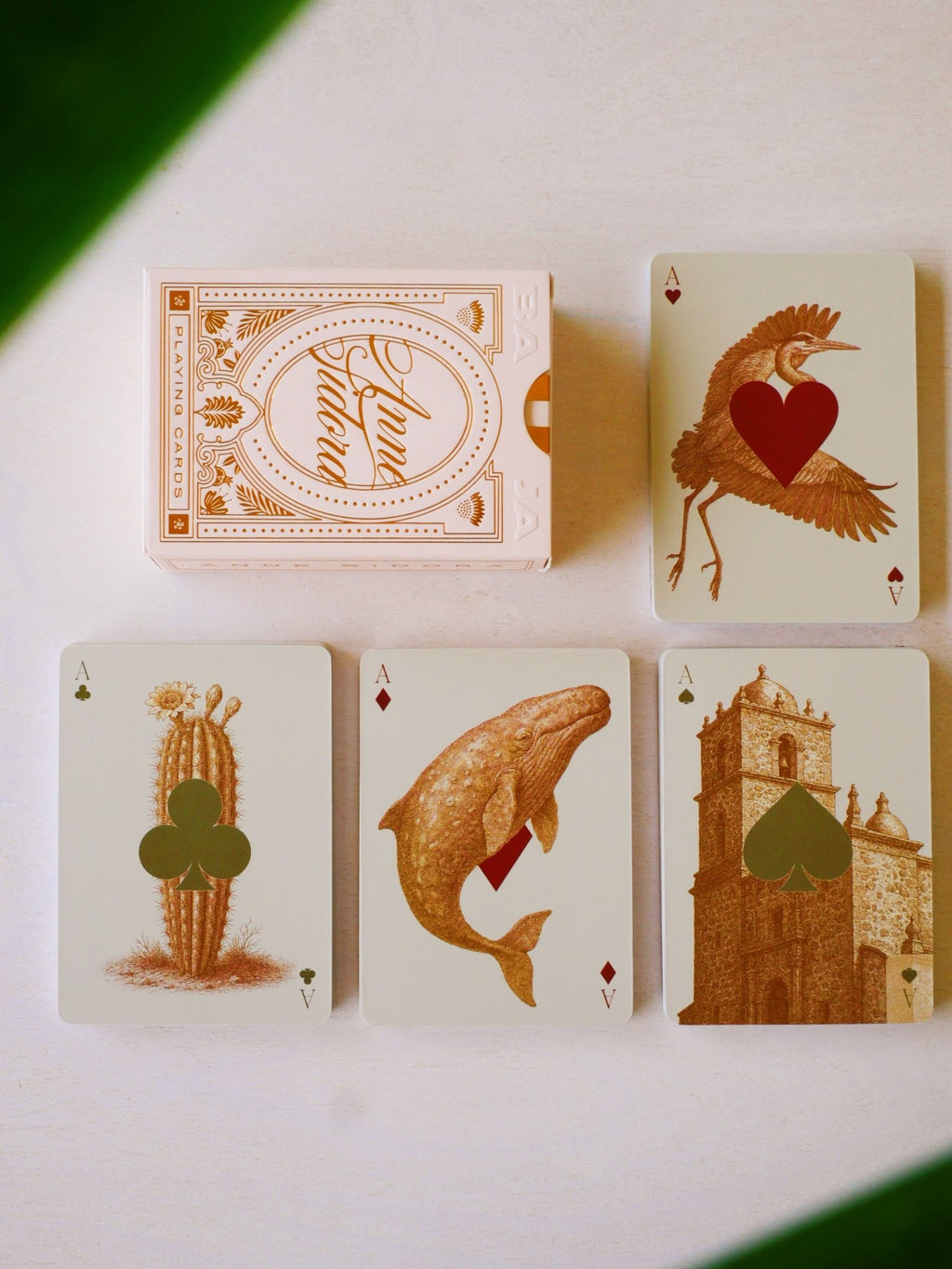 Baja Deck of Cards - Anne Sidora Unique Poetic gift boutique in Los Cabos