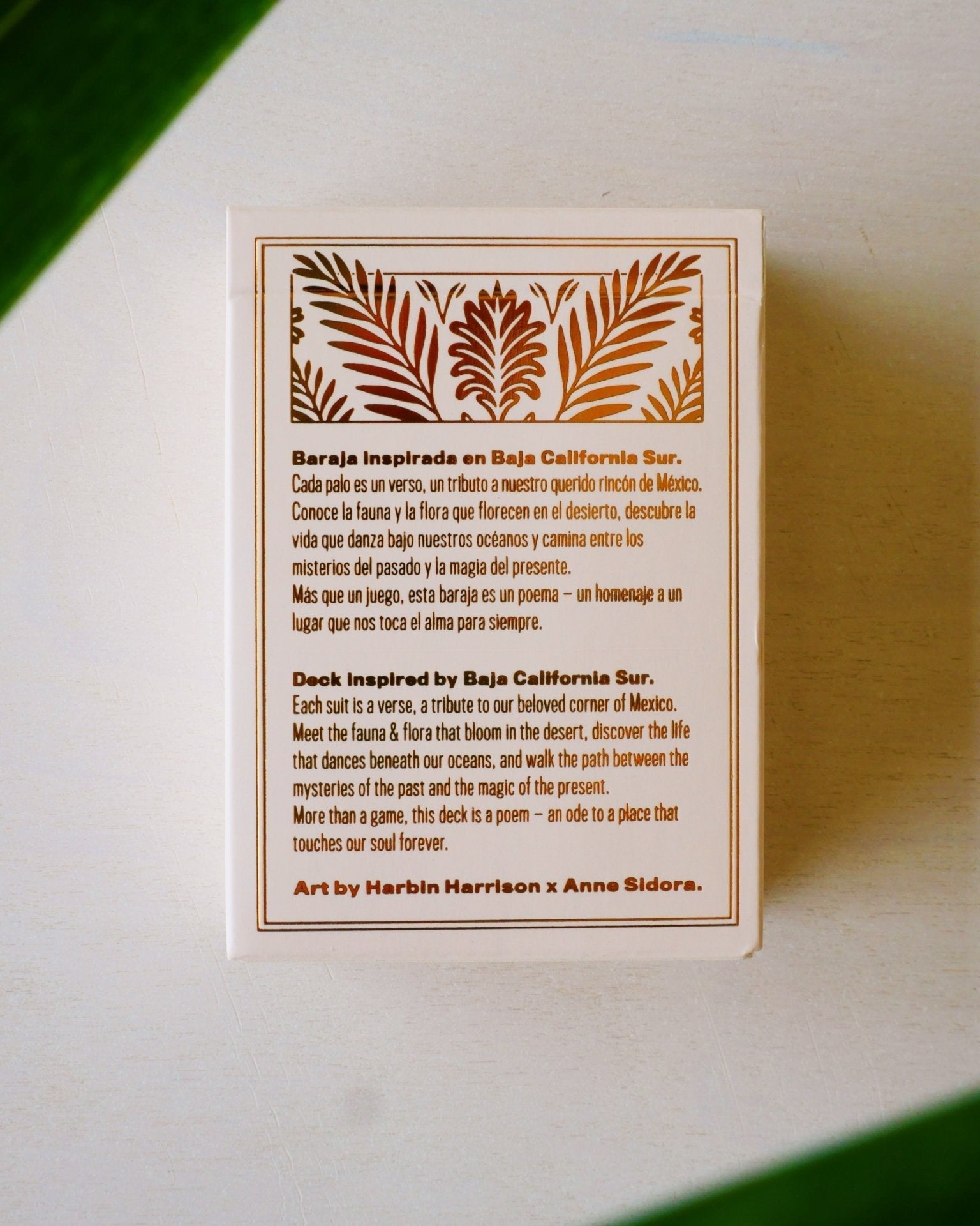 Baja Deck of Cards - Anne Sidora Unique Poetic gift boutique in Los Cabos