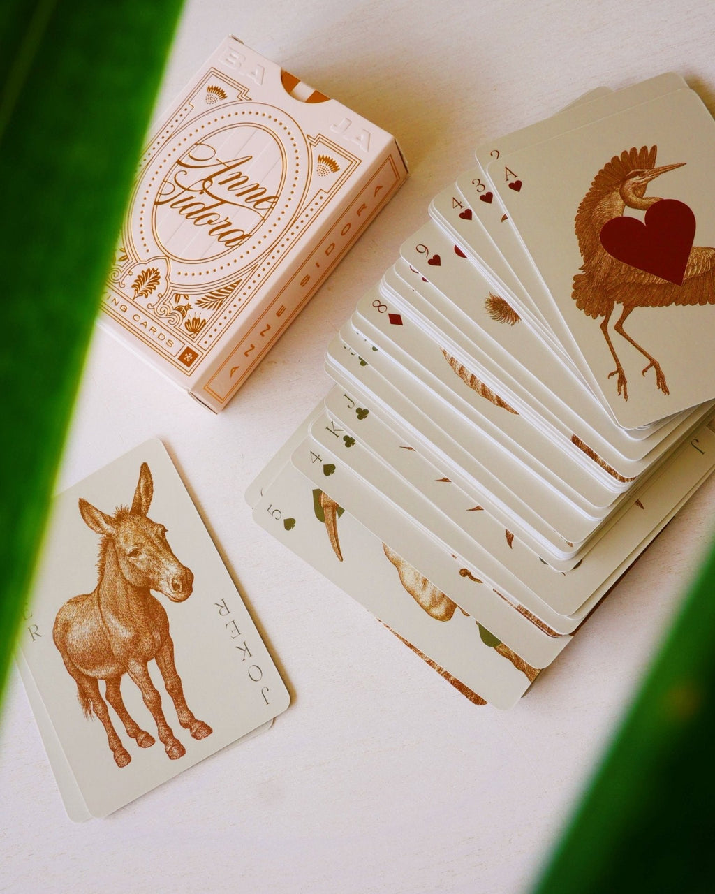 Baja Deck of Cards - Anne Sidora Unique Poetic gift boutique in Los Cabos