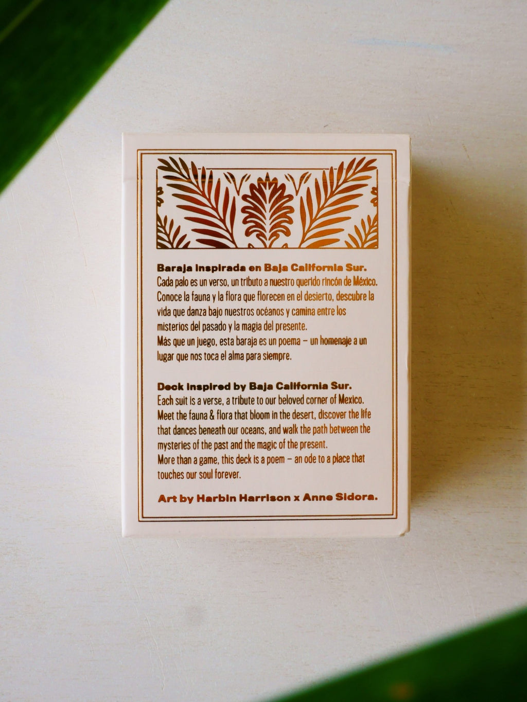 Baja Deck of Cards - Anne Sidora Unique Poetic gift boutique in Los Cabos