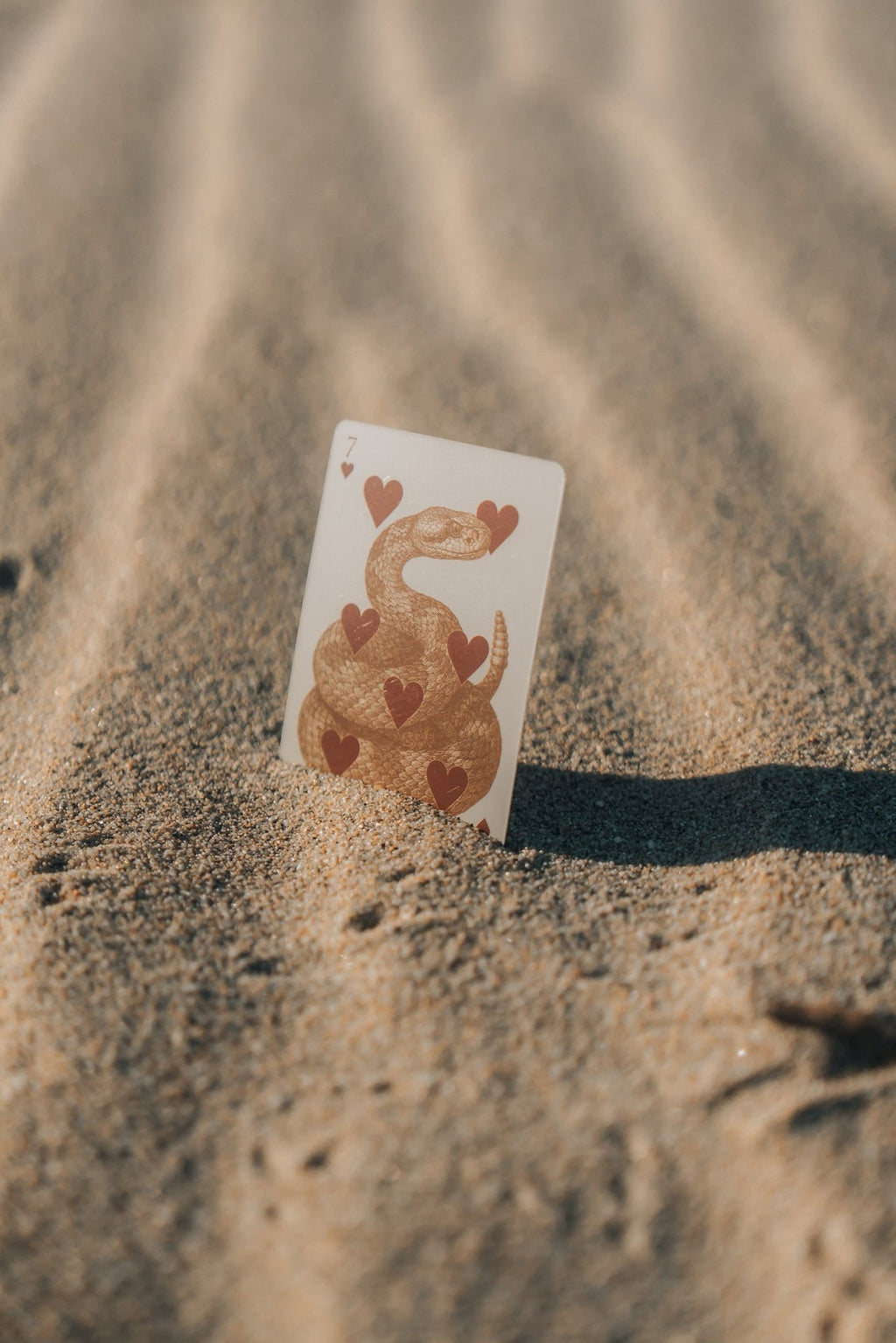 Baja Deck of Cards - Anne Sidora Unique Poetic gift boutique in Los Cabos