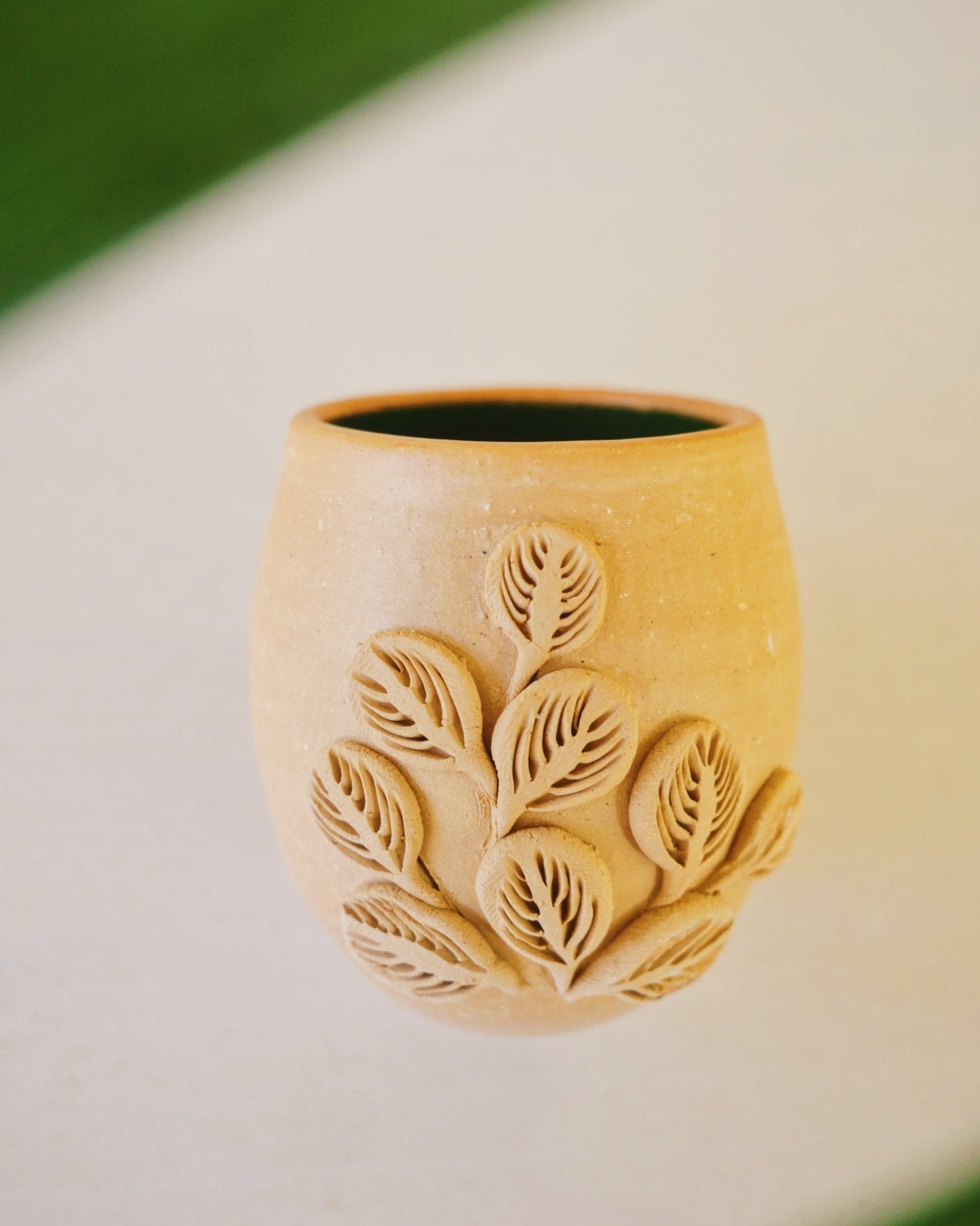 Baja Flora shots - Anne Sidora Unique Poetic gift boutique in Los Cabos