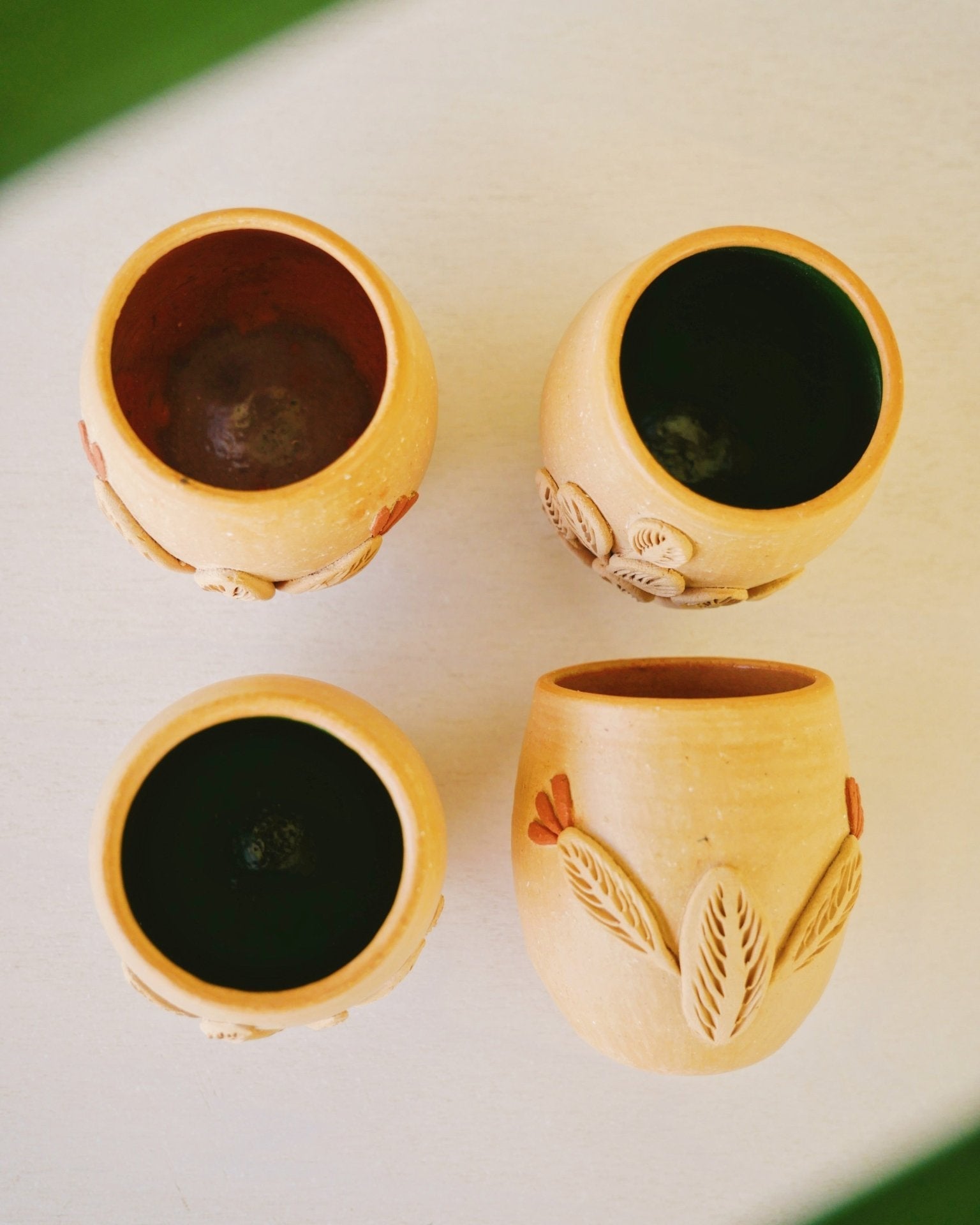 Baja Flora shots - Anne Sidora Unique Poetic gift boutique in Los Cabos