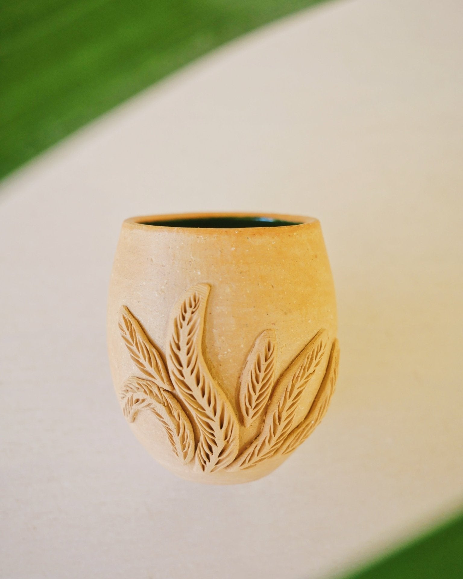 Baja Flora shots - Anne Sidora Unique Poetic gift boutique in Los Cabos