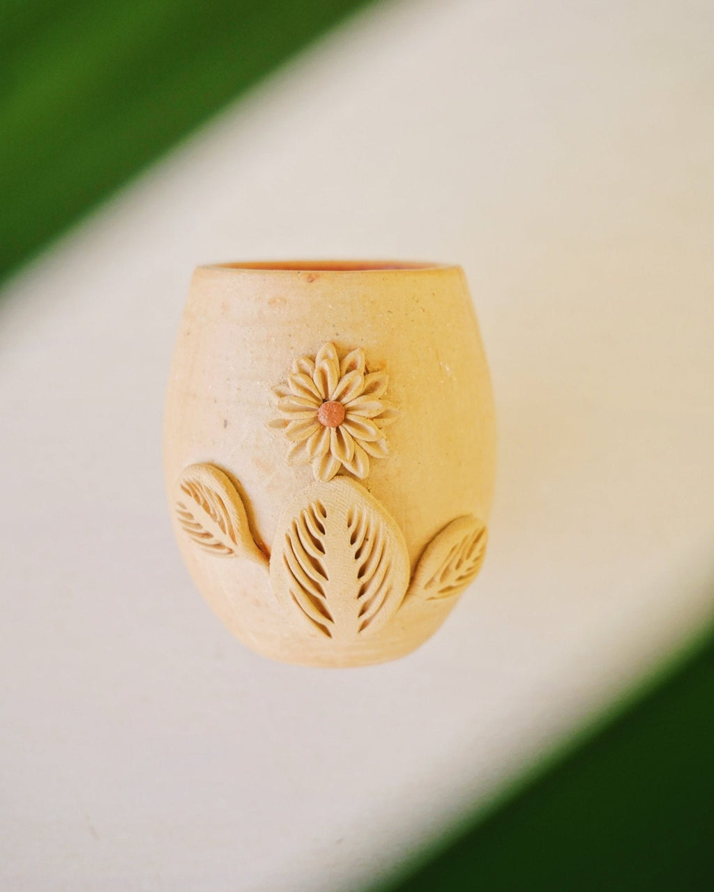 Baja Flora shots - Anne Sidora Unique Poetic gift boutique in Los Cabos