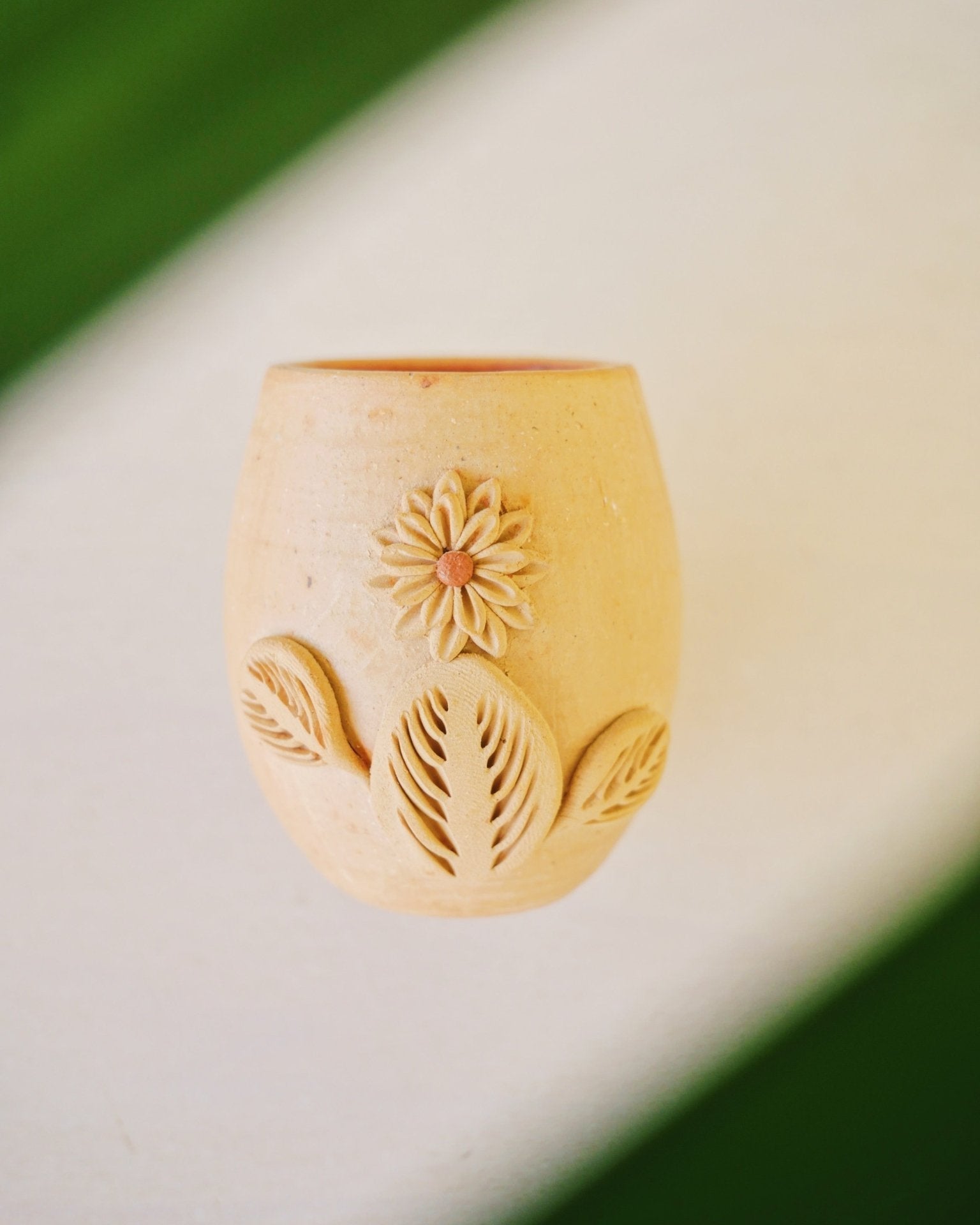 Baja Flora shots - Anne Sidora Unique Poetic gift boutique in Los Cabos