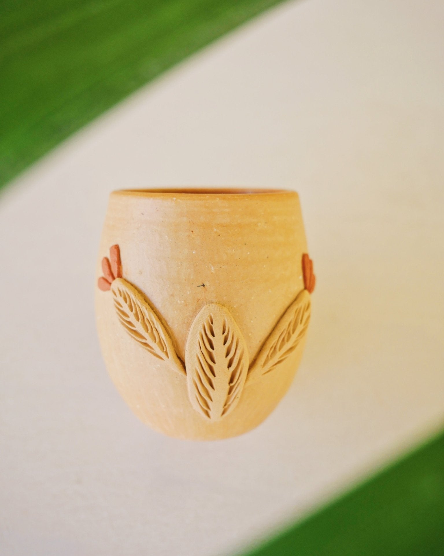 Baja Flora shots - Anne Sidora Unique Poetic gift boutique in Los Cabos