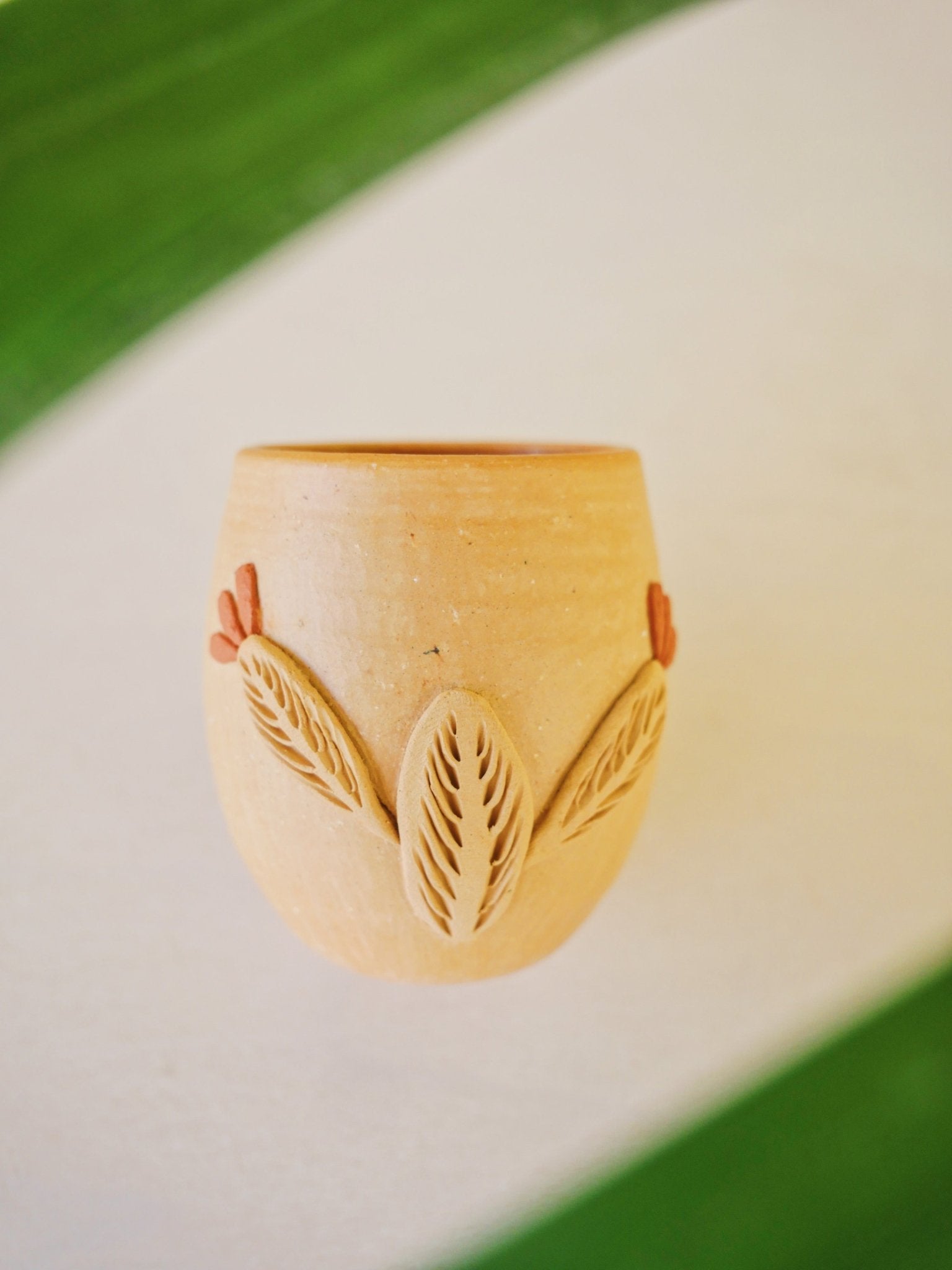 Baja Flora shots - Anne Sidora Unique Poetic gift boutique in Los Cabos