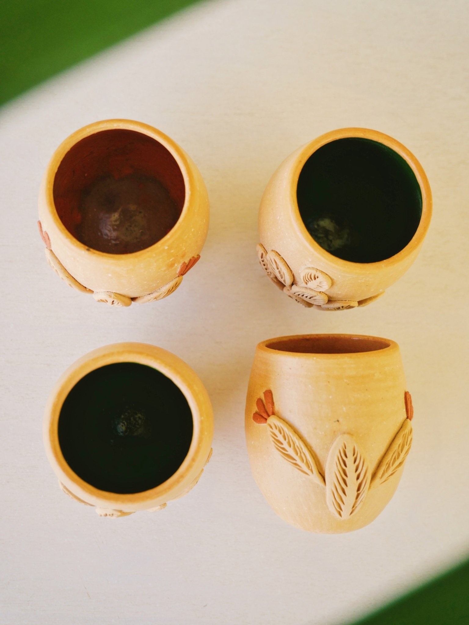 Baja Flora shots - Anne Sidora Unique Poetic gift boutique in Los Cabos