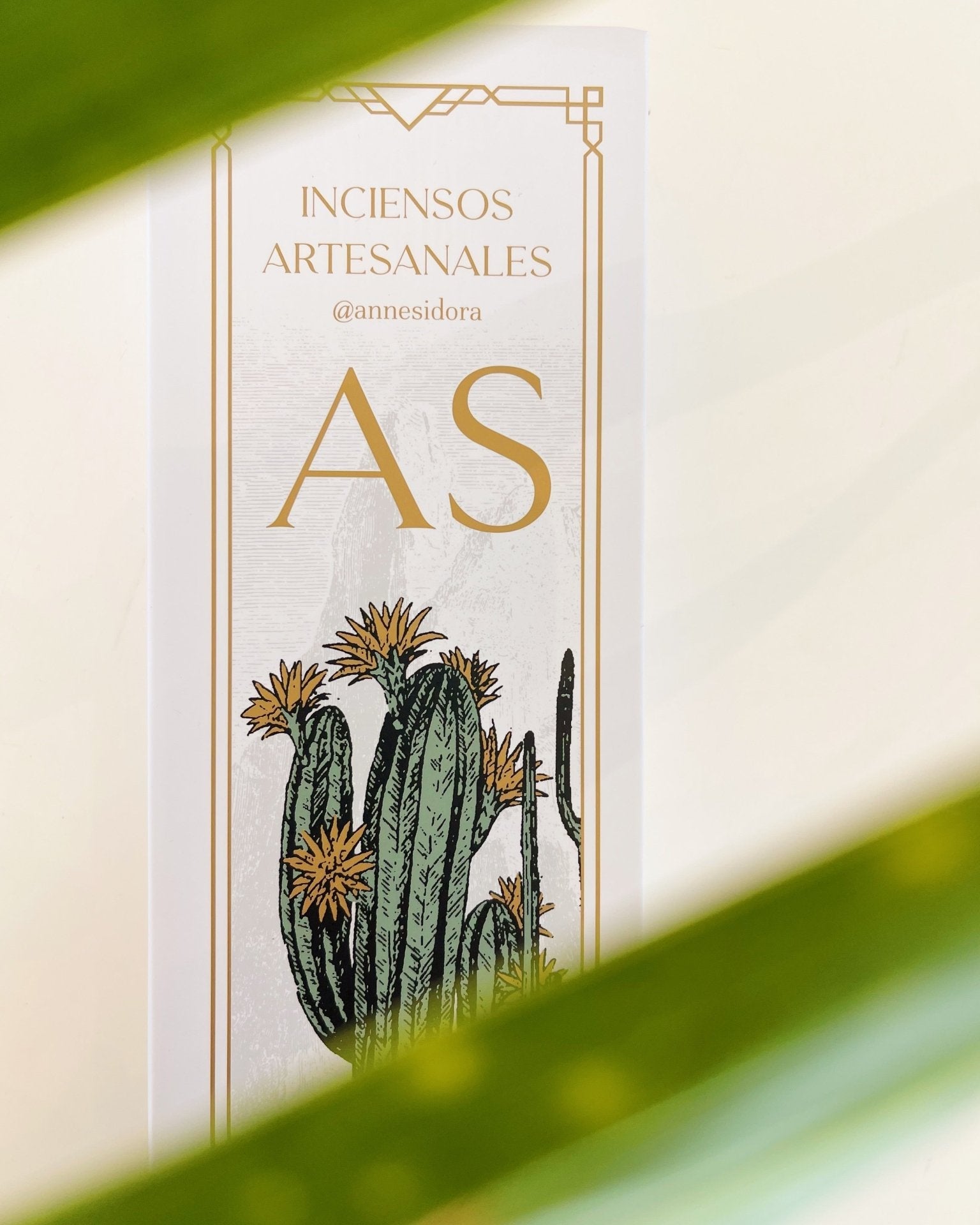 Baja Incense Box - Anne Sidora Unique Poetic gift boutique in Los Cabos