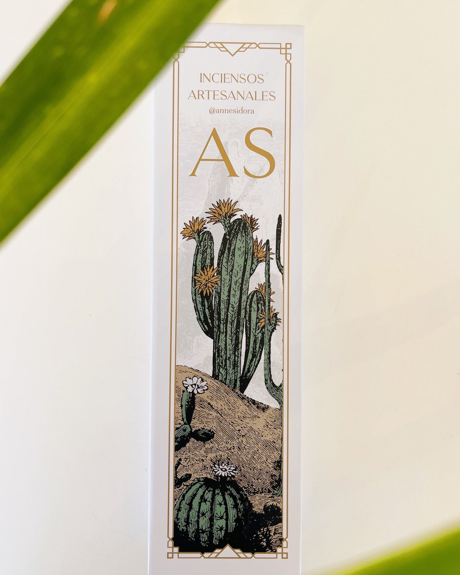 Baja Incense Box - Anne Sidora Unique Poetic gift boutique in Los Cabos