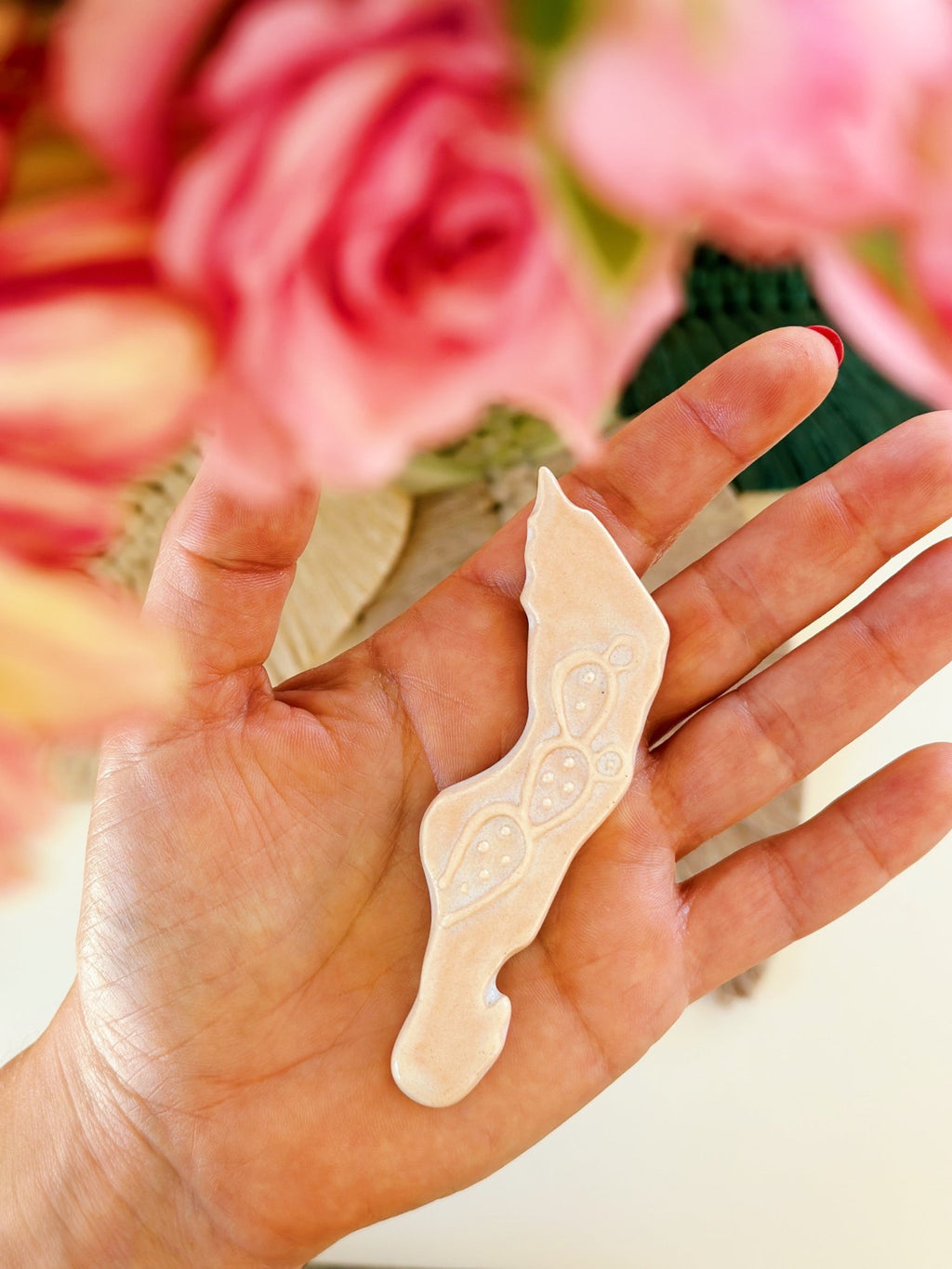 Baja Magnet - Anne Sidora Unique Poetic gift boutique in Los Cabos