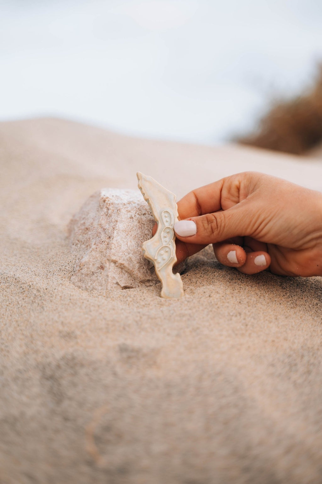 Baja Magnet - Anne Sidora Unique Poetic gift boutique in Los Cabos