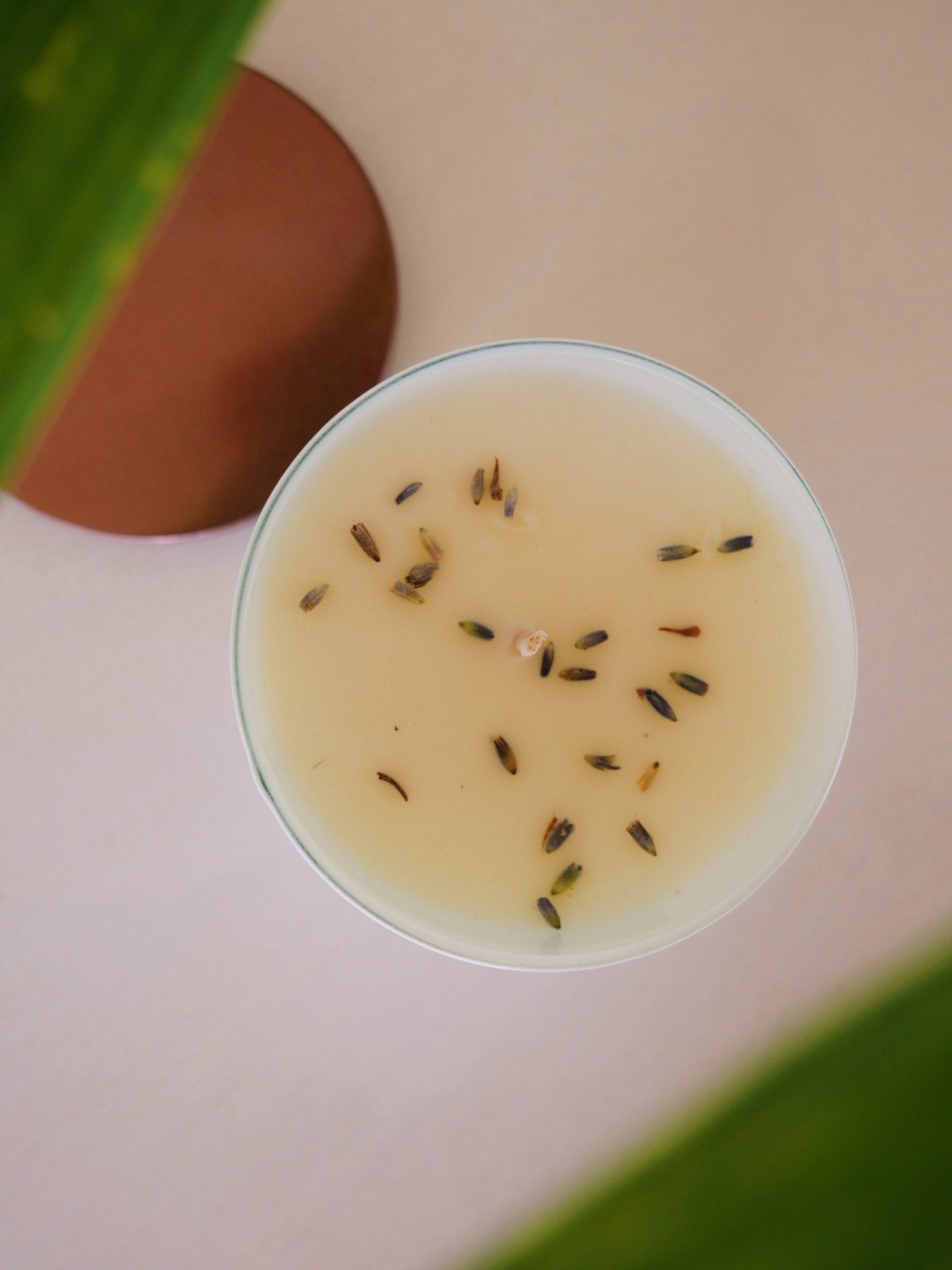 Bamboo & Coconut Candle - Anne Sidora Unique Poetic gift boutique in Los Cabos