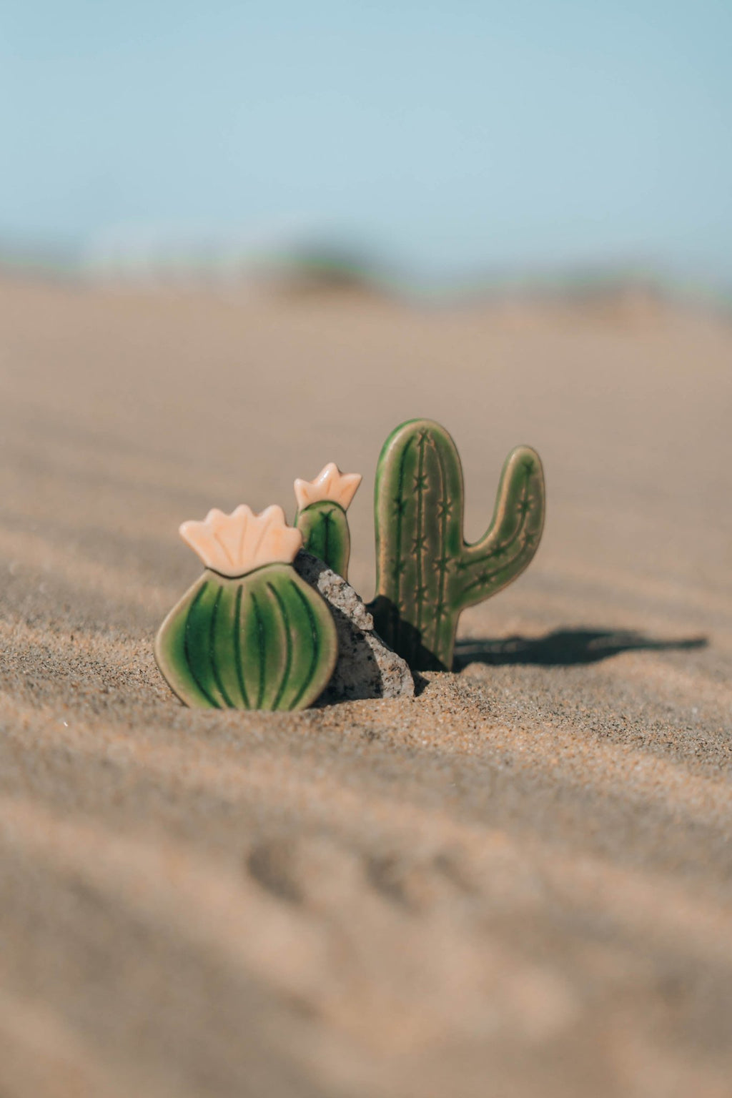 Blooming Cactus Magnets - Anne Sidora Unique Poetic gift boutique in Los Cabos