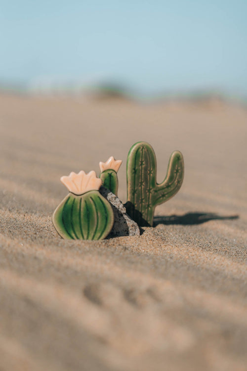 Blooming Cactus Magnets - Anne Sidora Unique Poetic gift boutique in Los Cabos