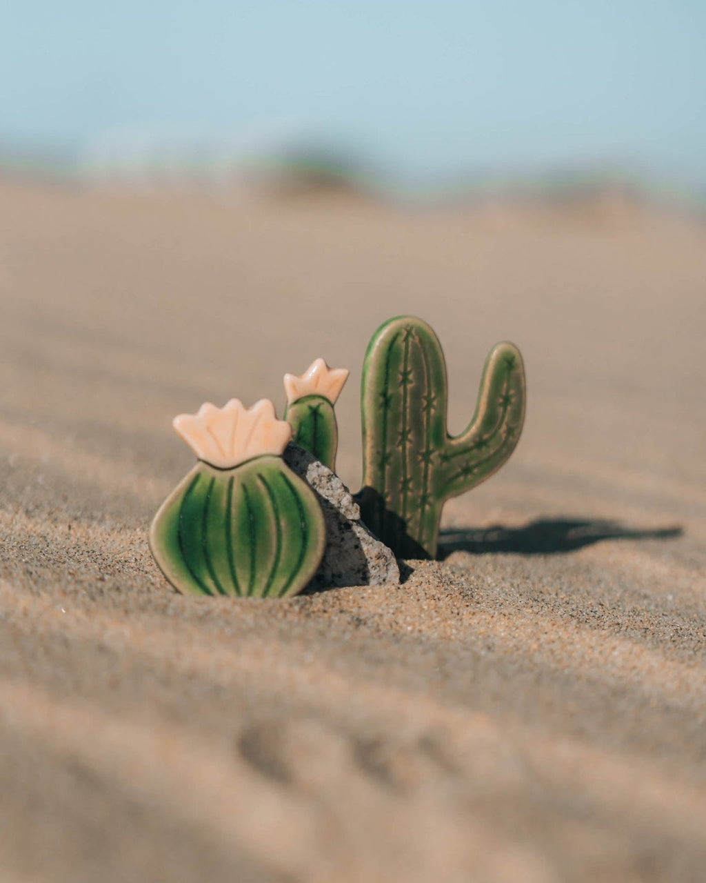 Blooming Cactus Magnets - Anne Sidora Unique Poetic gift boutique in Los Cabos