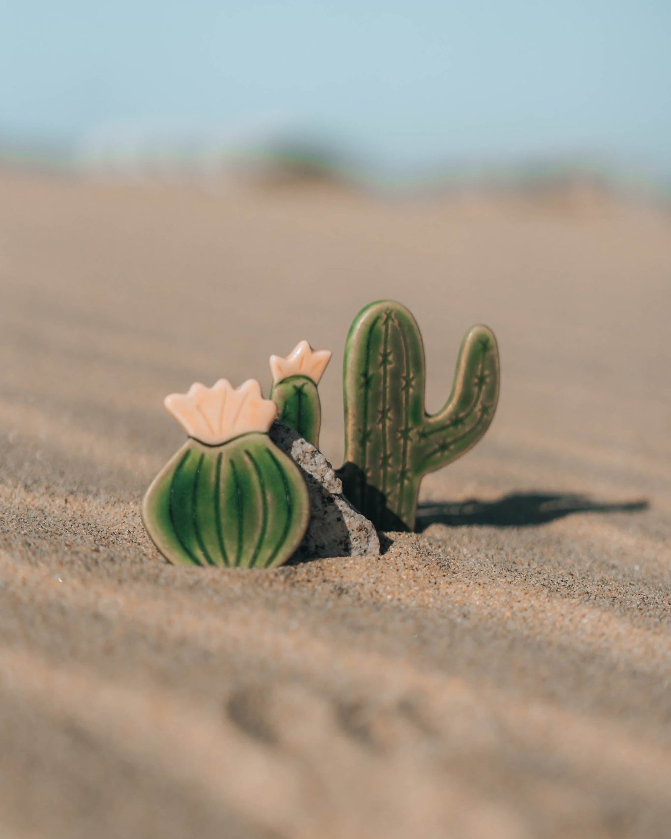 Blooming Cactus Magnets - Anne Sidora Unique Poetic gift boutique in Los Cabos
