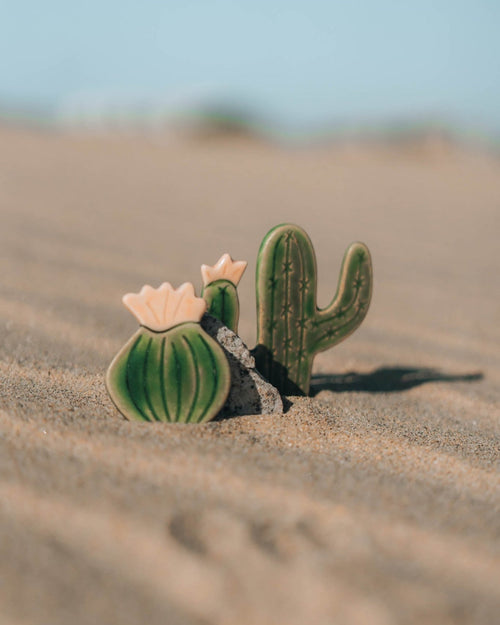 Blooming Cactus Magnets - Anne Sidora Unique Poetic gift boutique in Los Cabos