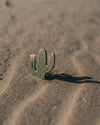 Blooming Cactus Magnets - Anne Sidora Unique Poetic gift boutique in Los Cabos