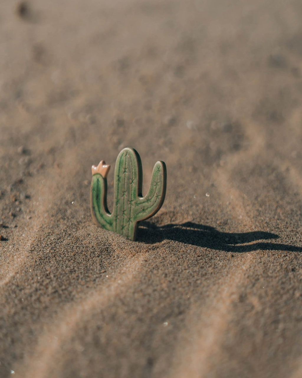 Blooming Cactus Magnets - Anne Sidora Unique Poetic gift boutique in Los Cabos