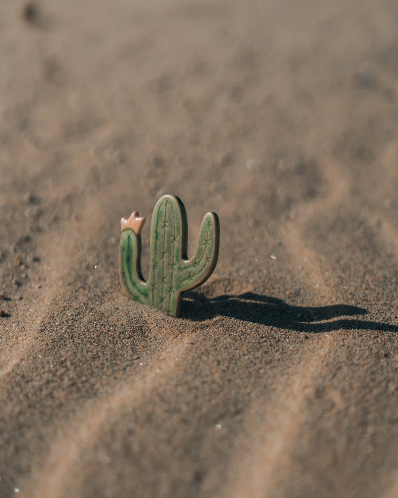 Blooming Cactus Magnets - Anne Sidora Unique Poetic gift boutique in Los Cabos