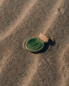 Blooming Cactus Magnets - Anne Sidora Unique Poetic gift boutique in Los Cabos
